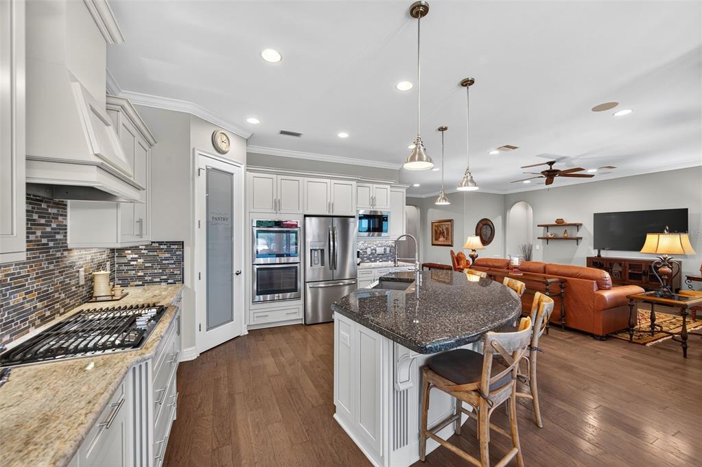 4446 Ortona Lane Wesley Chapel, FL 33543 - Photo 12 of 99