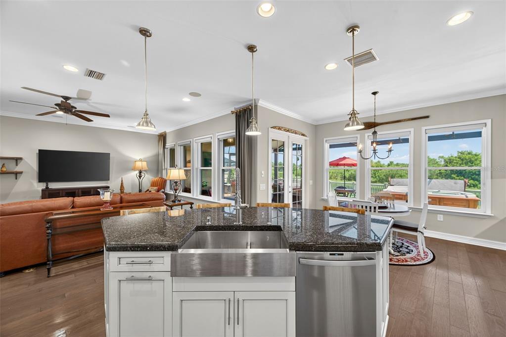 4446 Ortona Lane Wesley Chapel, FL 33543 - Photo 14 of 99