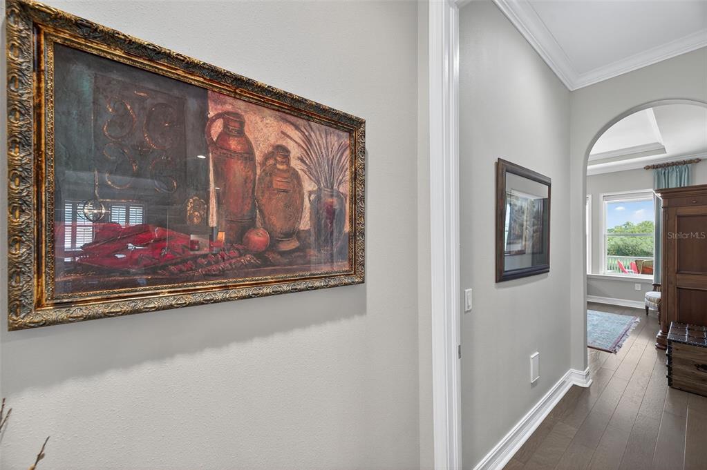 4446 Ortona Lane Wesley Chapel, FL 33543 - Photo 28 of 99