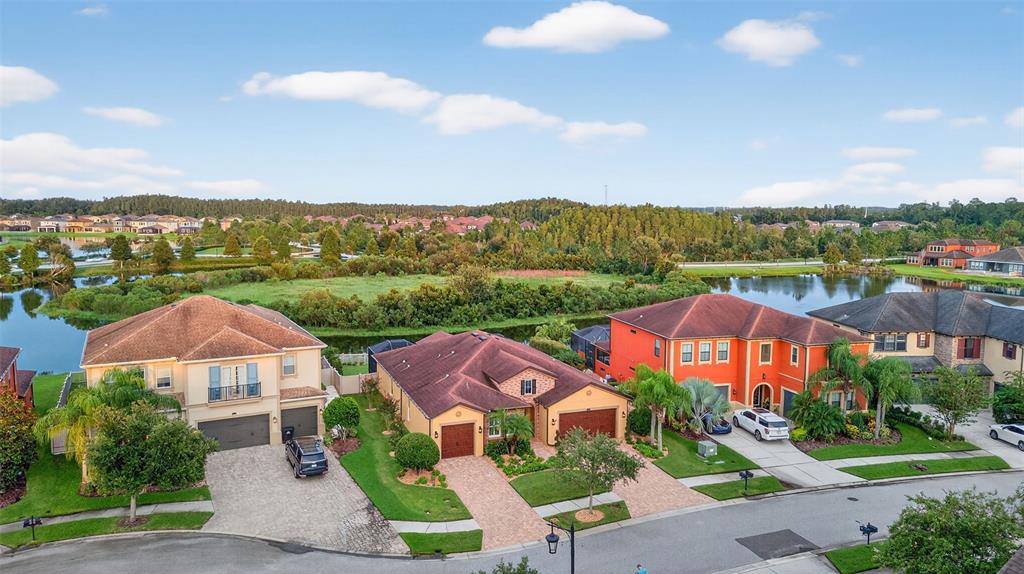 4446 Ortona Lane Wesley Chapel, FL 33543 - Photo 84 of 99