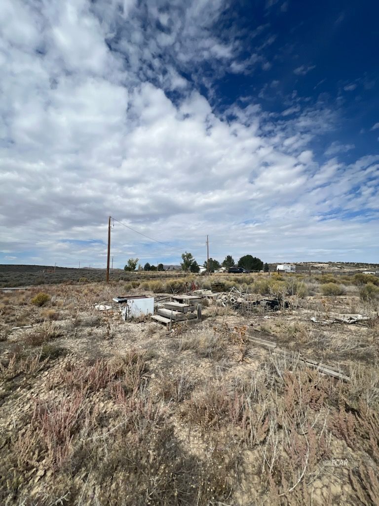 2016 Pickering Avenue Spring Creek, NV 89815 - Photo 3 of 11