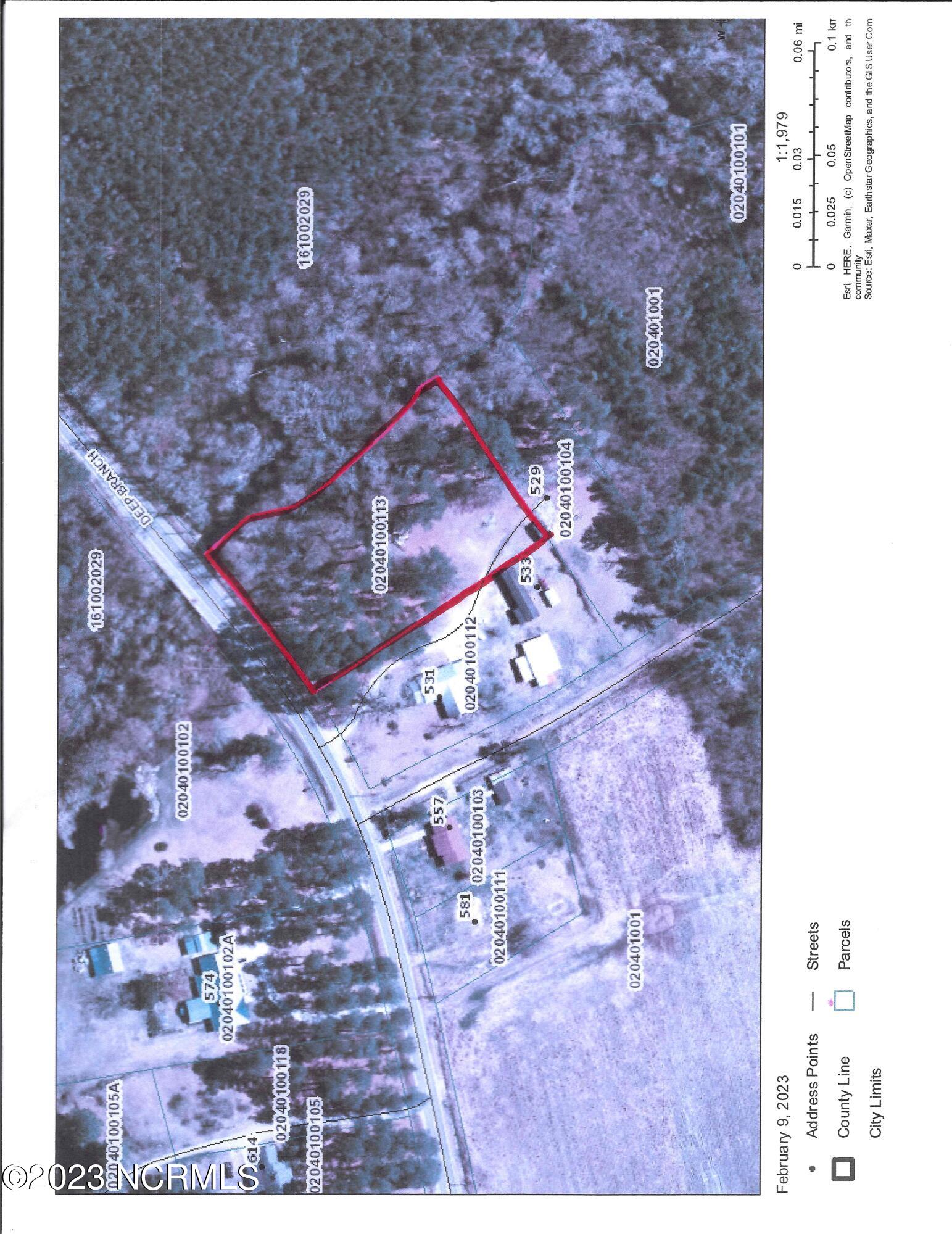 4 Deep Branch Road Lumberton, NC 28360 - Photo 1 of 1 lot 4