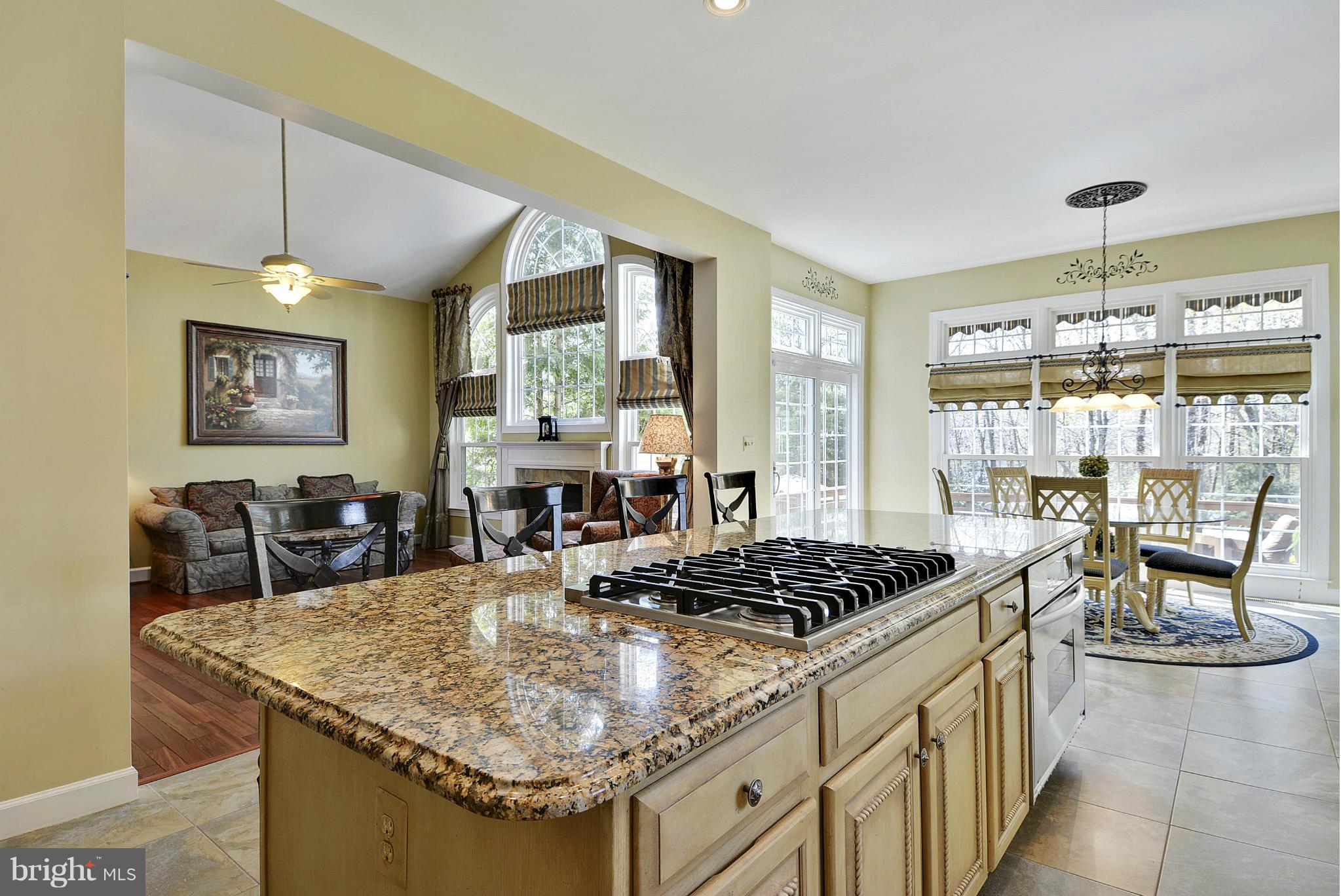 12209 Windsor Hall Way Herndon, VA 20170 - Photo 4 of 30 Kitchen