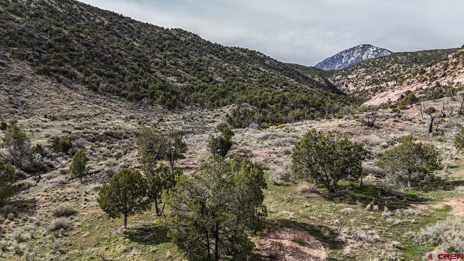 17240 Rd G Cortez, CO 81321 - Photo 10 of 37 a view of a forest with mountains in the background