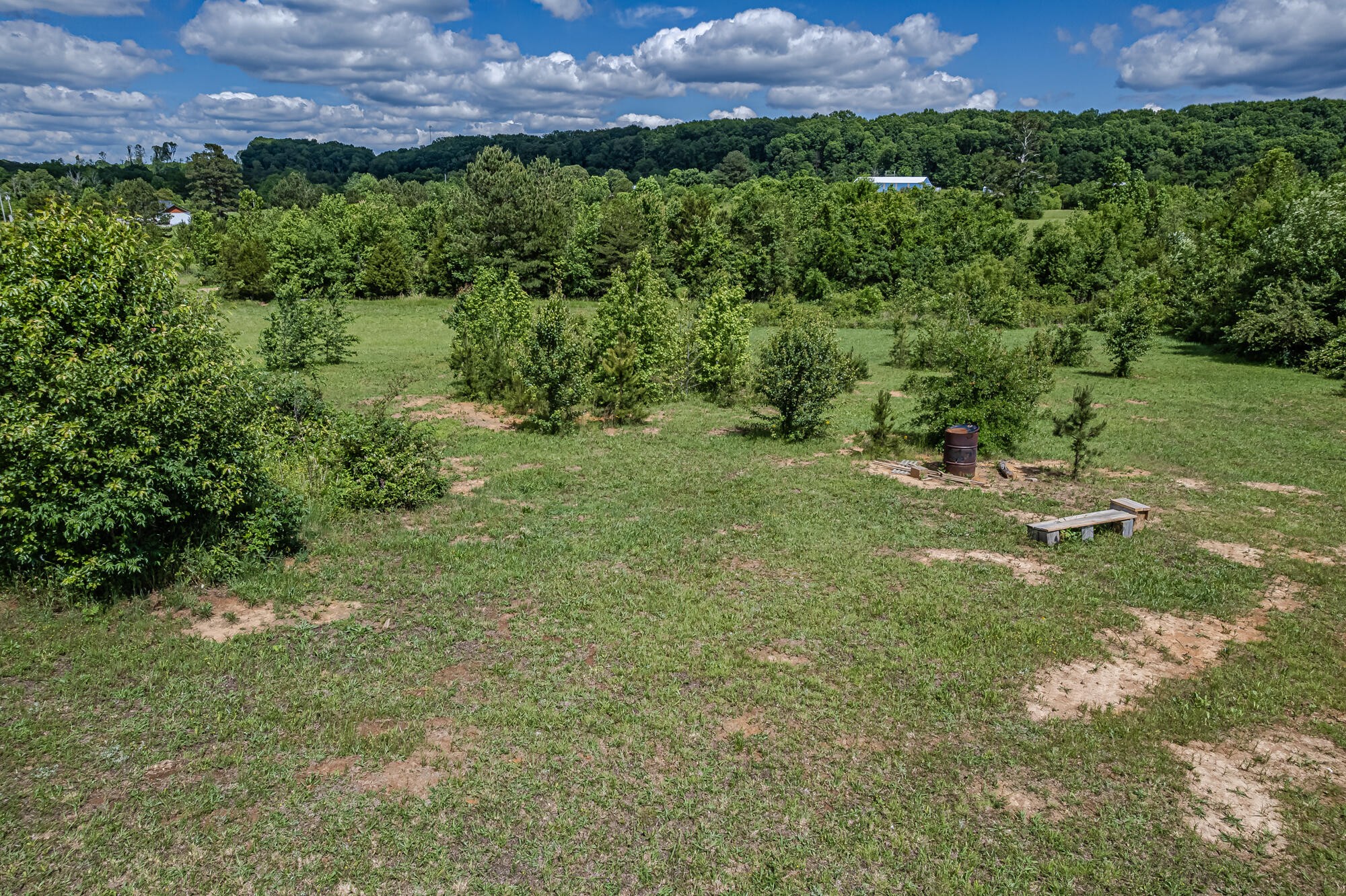 1310 Chestuee Road Delano, TN 37325 - Photo 10 of 36 Gallery Image 10