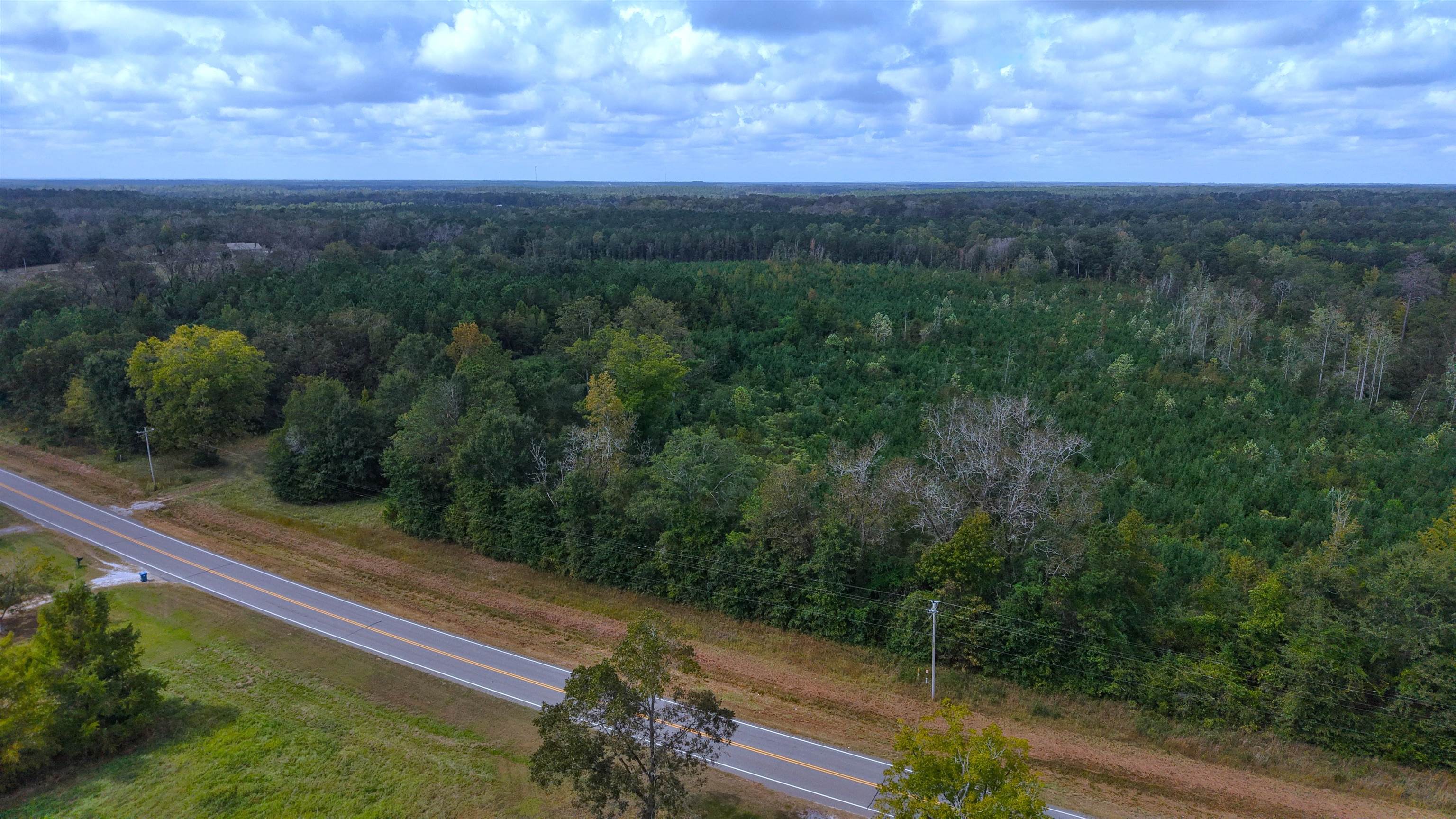 0 Mobile Road Greenville, AL 36037 - Photo 4 of 7 Gallery Image 4