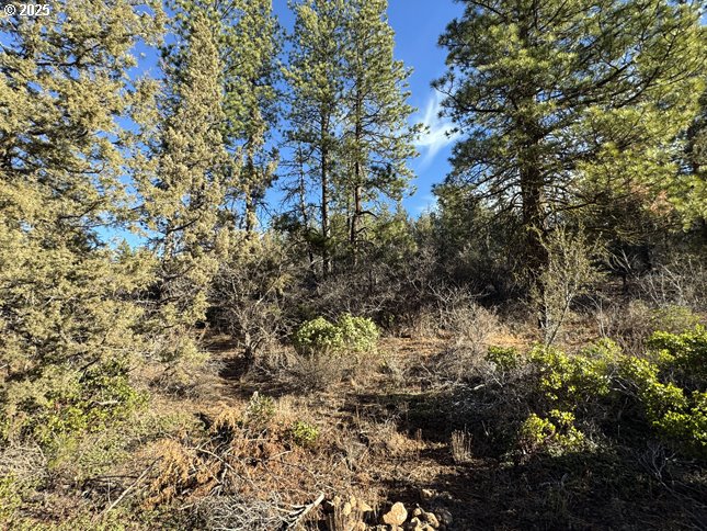 Hummingbird Drive, Unit 13 Bonanza, OR 97623 - Photo 7 of 17