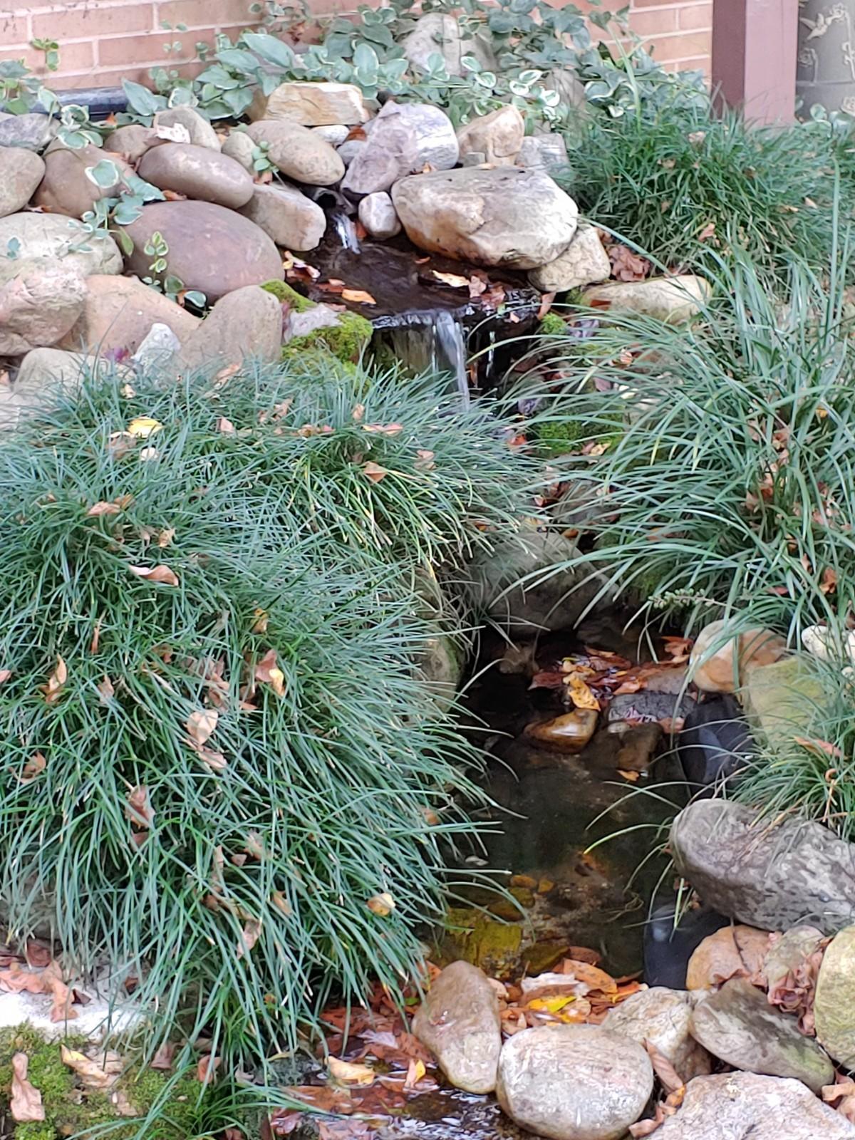 2208 Charsley Road Kingsport, TN 37660 - Photo 34 of 41 Koi pond waterfall