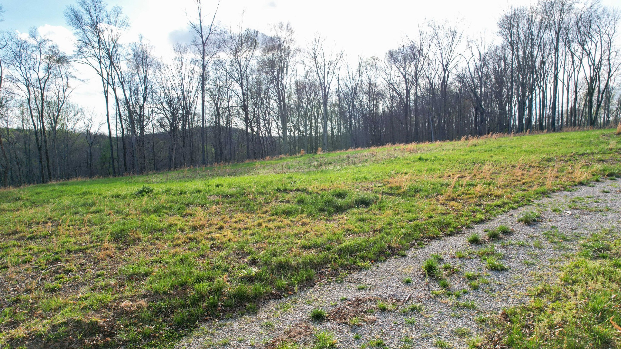 0 Bell Hollow Road Vanleer, TN 37181 - Photo 24 of 31 Gallery Image 24