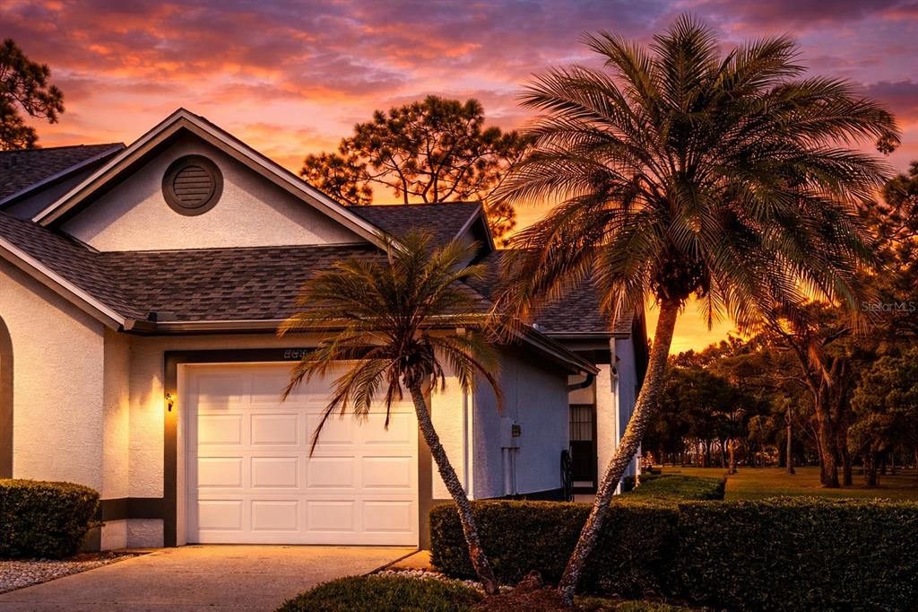 3637 Downfield Place, Unit 402 New Port Richey, FL 34655 - Photo 6 of 39