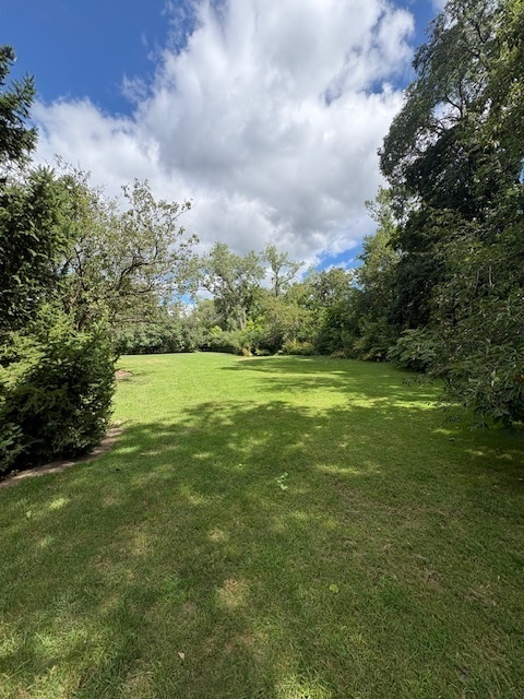 1119 Longvalley Road Glenview, IL 60025 - Photo 4 of 9