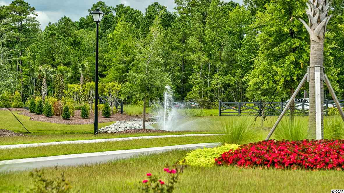 10138 Hamilton Branch Loop Myrtle Beach, SC 29579 - Photo 24 of 39 Gallery Image 24
