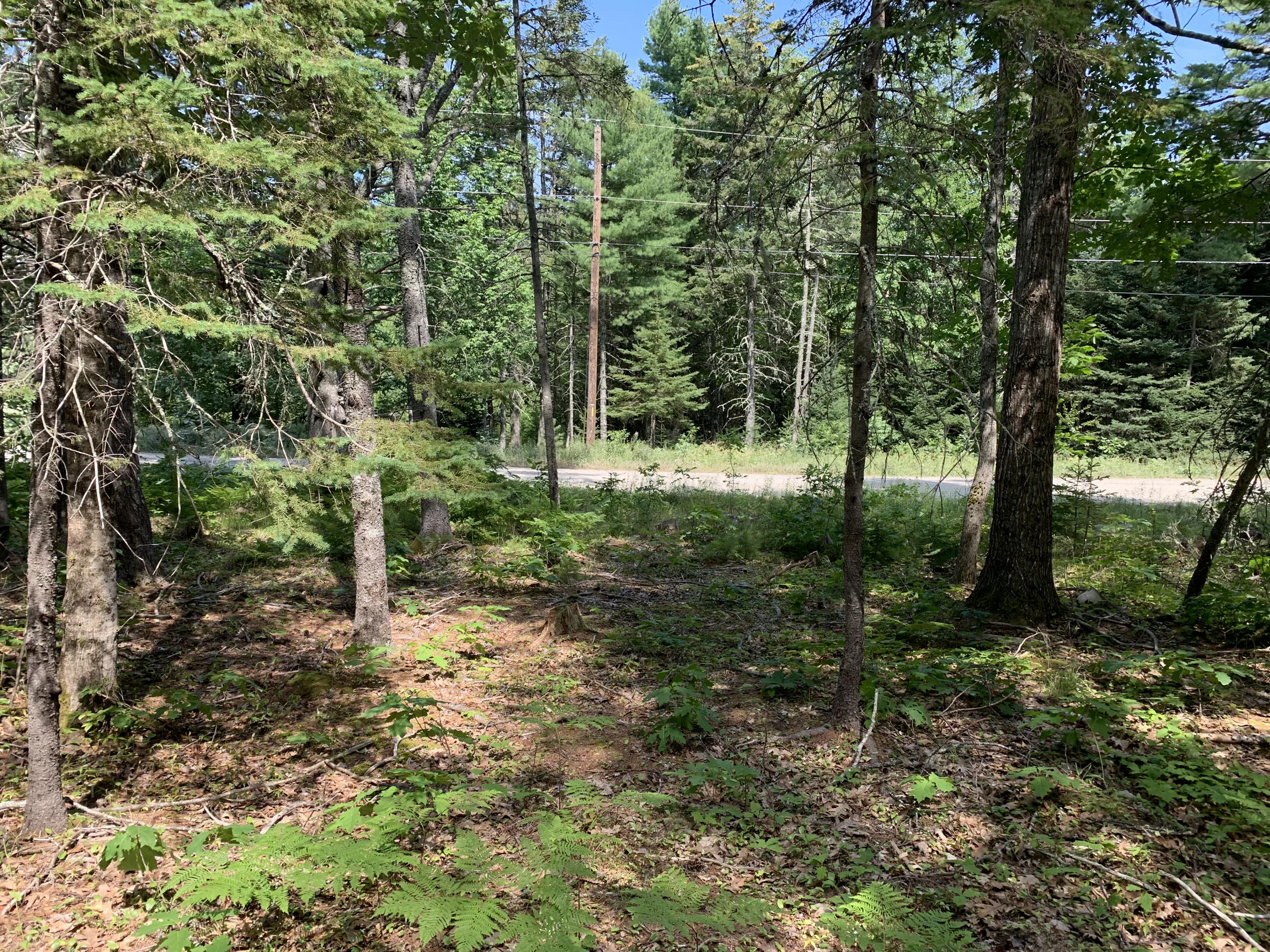 15 Orchard Road Bar Harbor, ME 04609 - Photo 11 of 14 CDFE6BC1-0856-402F-BE58-04A56237B073
