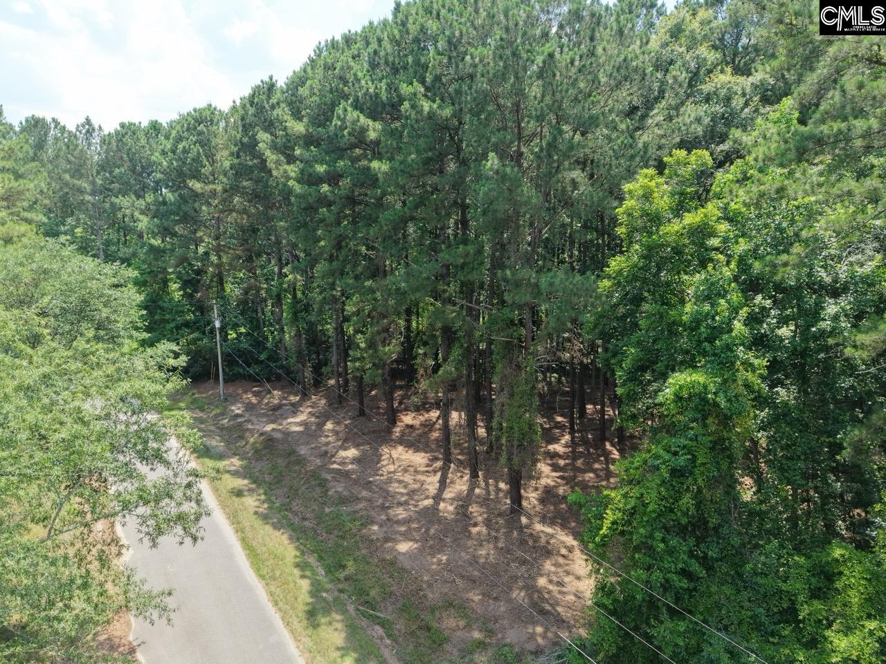 0 Peace Lane Bowman, SC 29018 - Photo 3 of 13
