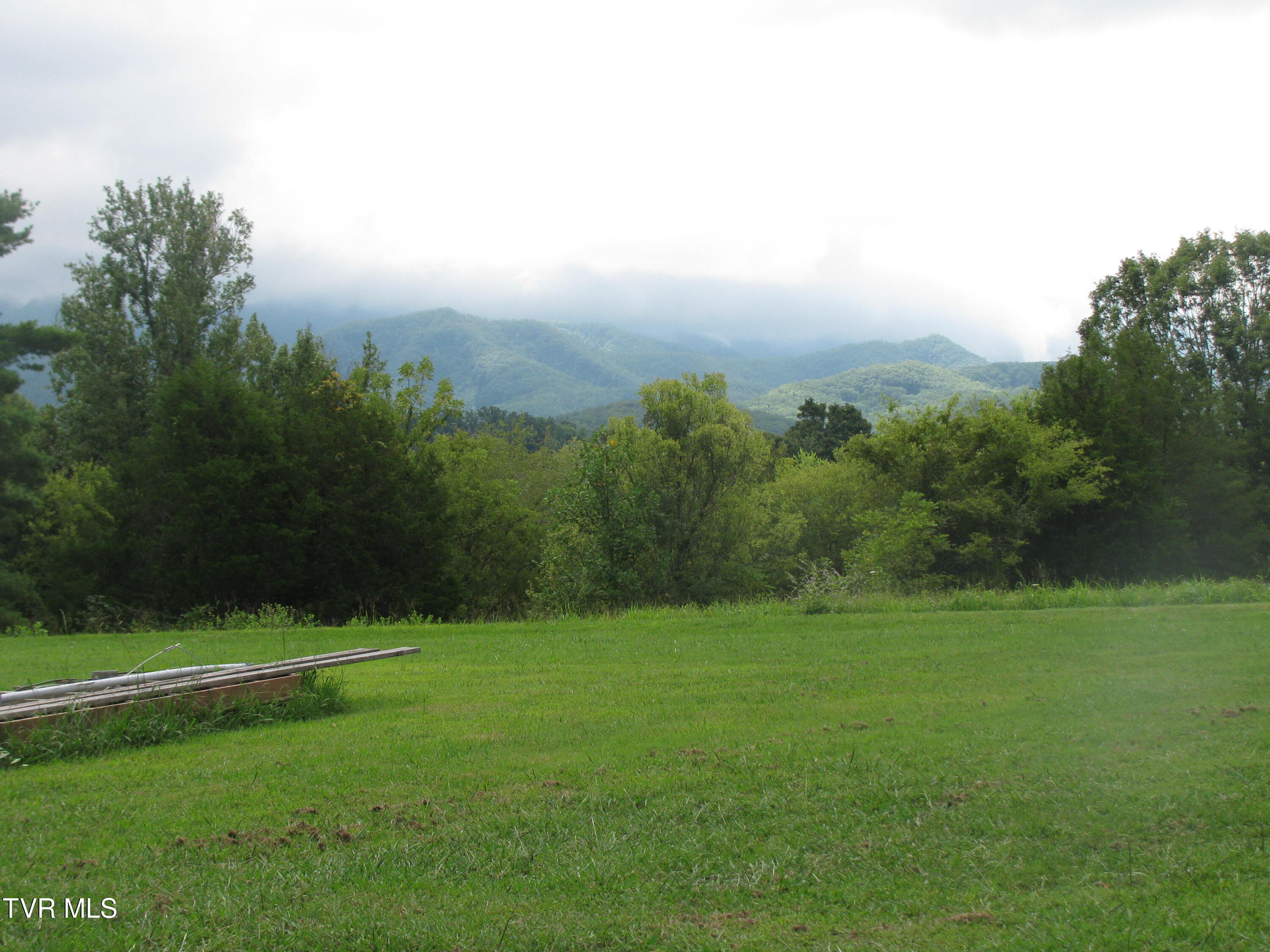 103 Lilly Painter Road Chuckey, TN 37641 - Photo 5 of 16 IMG_4808