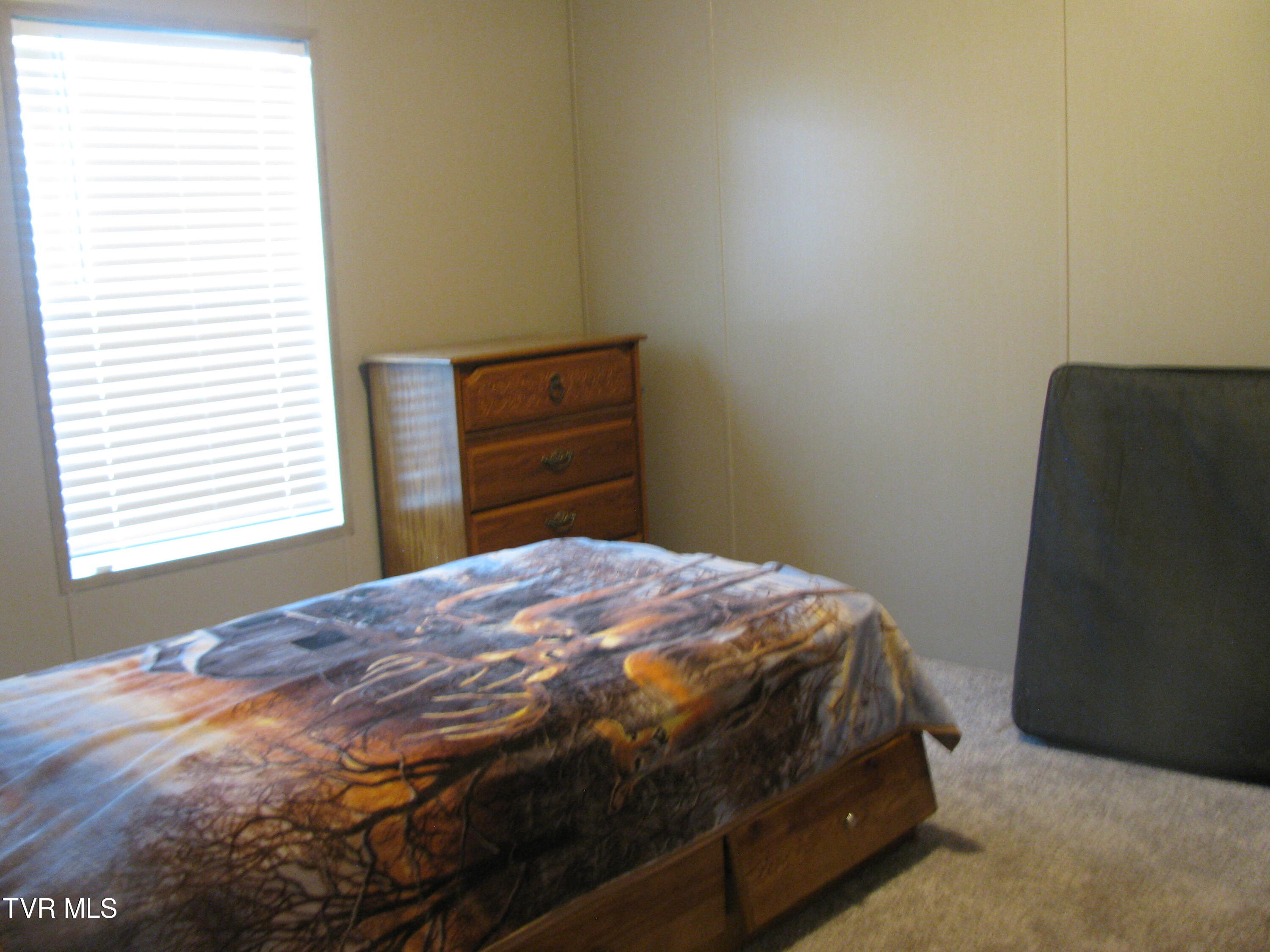 103 Lilly Painter Road Chuckey, TN 37641 - Photo 8 of 16 IMG_4788