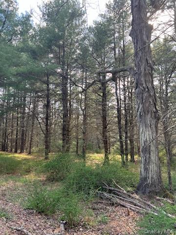 0 Upper Pine Kill Road Wurtsboro, NY 12790 - Photo 6 of 7