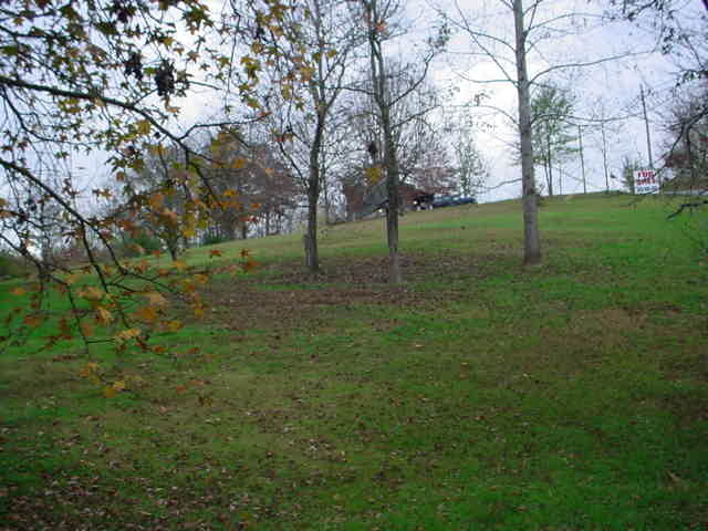 129 Parmer Road McDonald, TN 37353 - Photo 3 of 4 Additional Photo