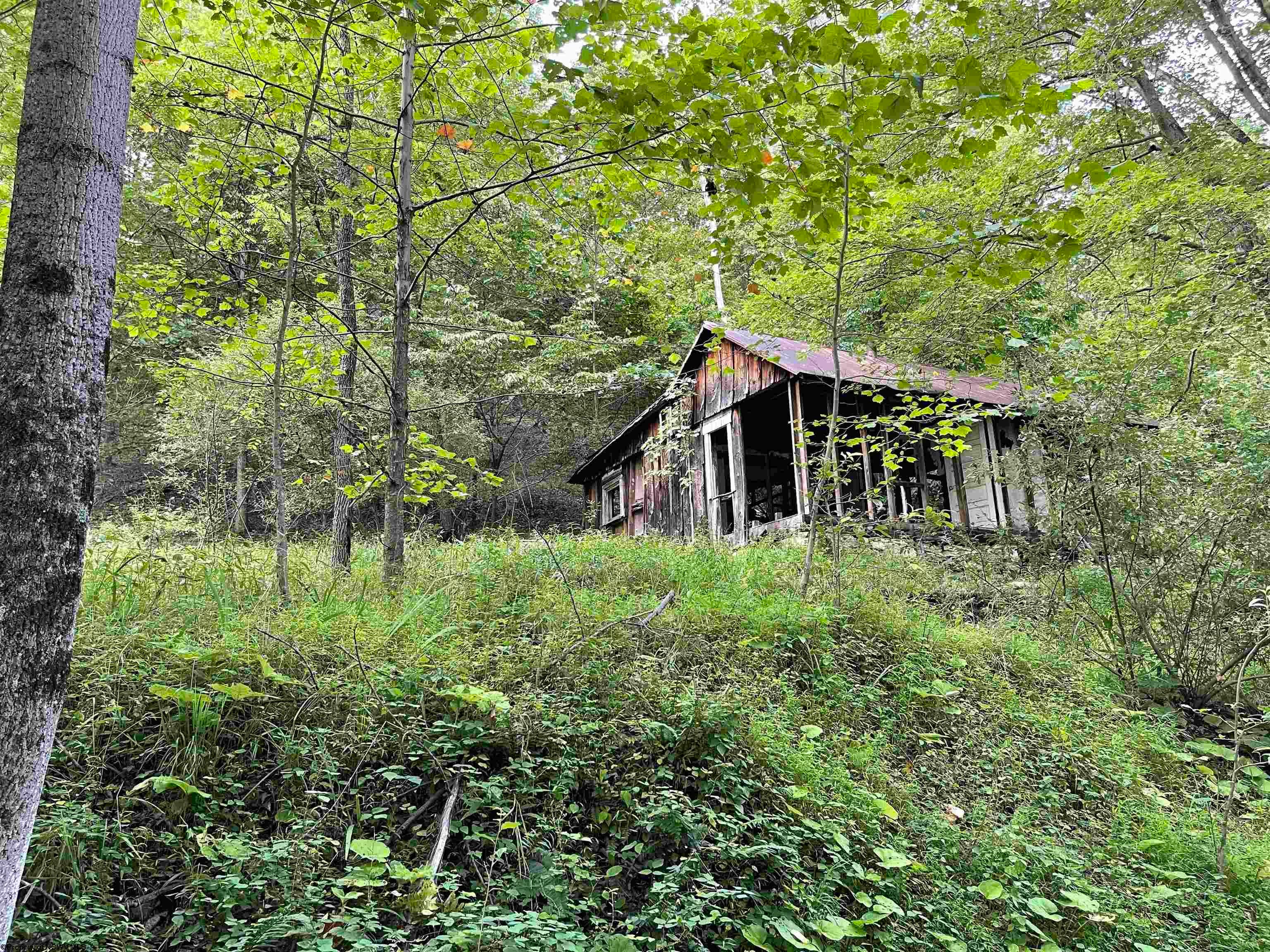 917 Mudlick Run Road Fairmont, WV 26554 - Photo 5 of 19 Gallery Image 5