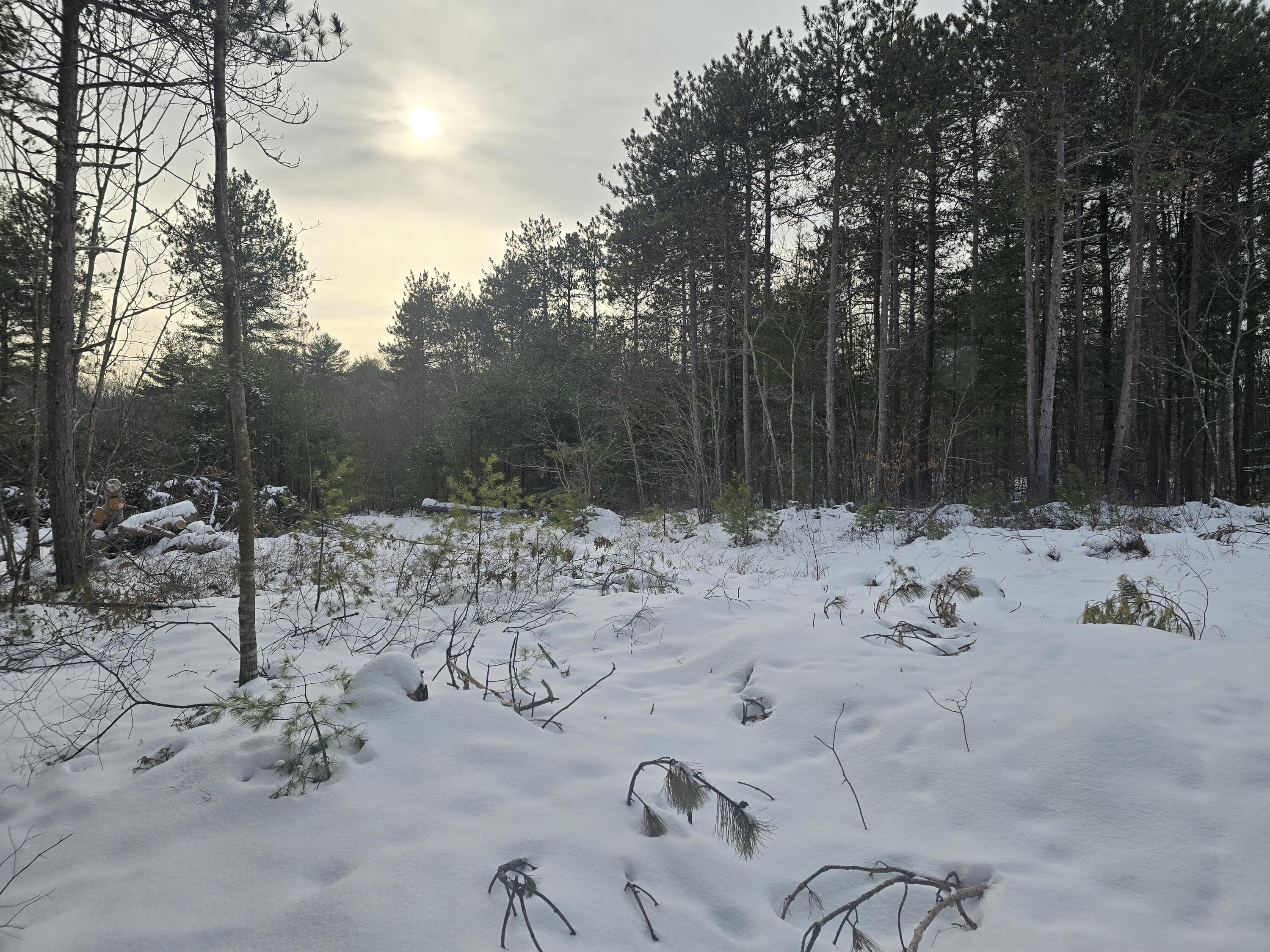 0 Victory Lane Phippsburg, ME 04562 - Photo 1 of 9 20260106_131358