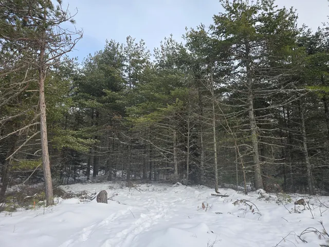 $95,000 | 0 Victory Lane, Phippsburg, ME 04562