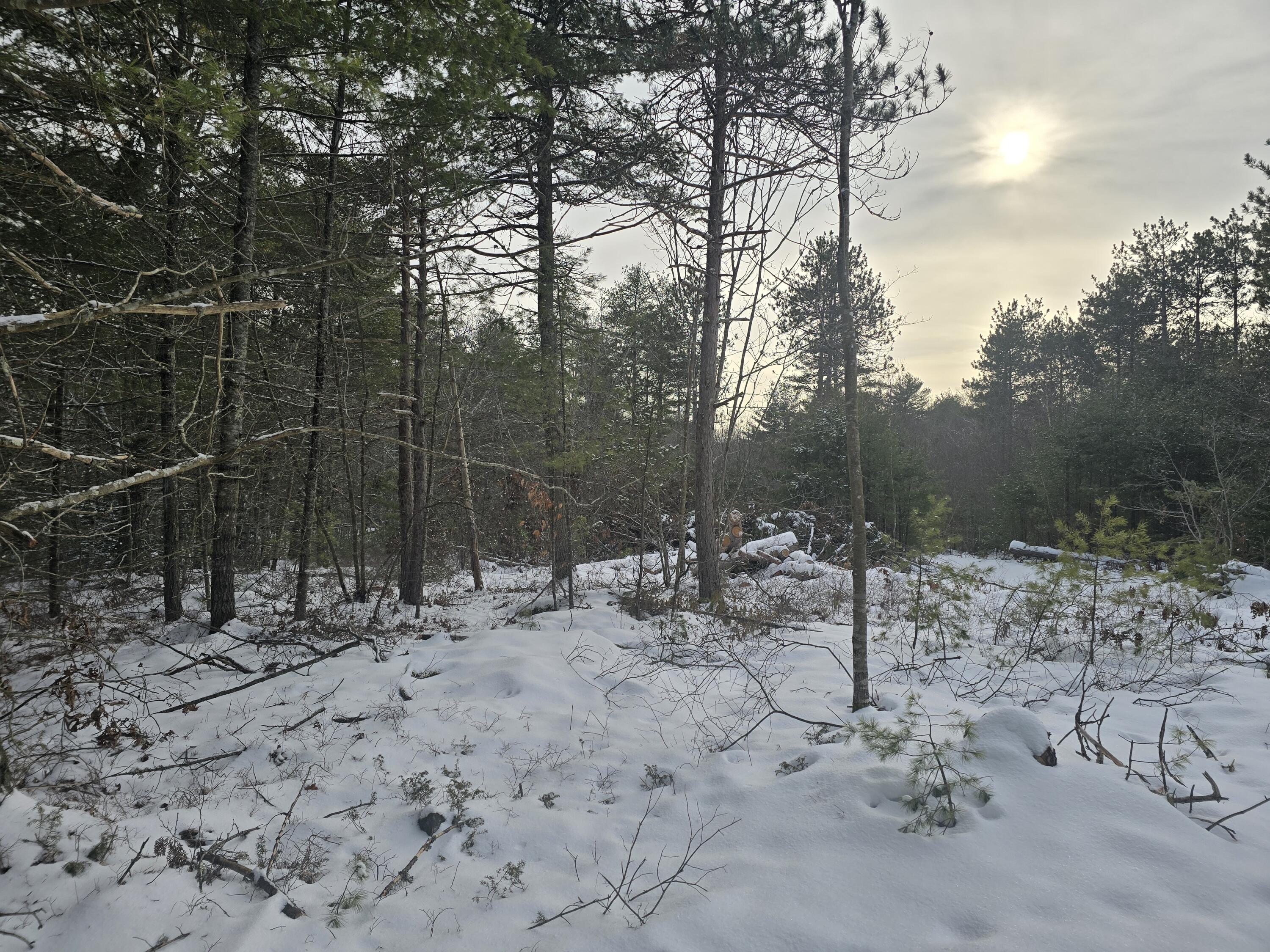 0 Victory Lane Phippsburg, ME 04562 - Photo 4 of 9 20260106_131405