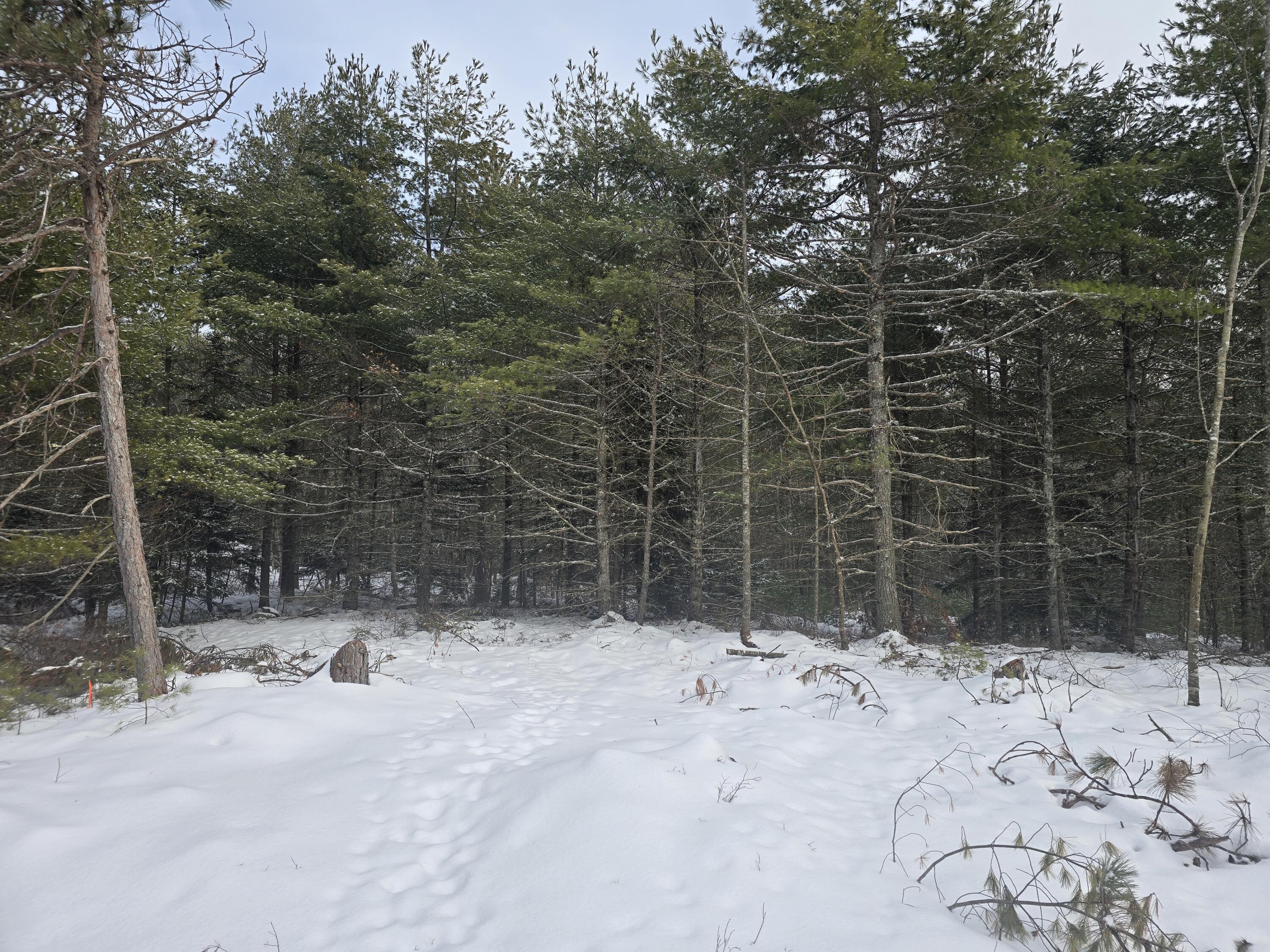 0 Victory Lane Phippsburg, ME 04562 - Photo 5 of 9 20260106_131258