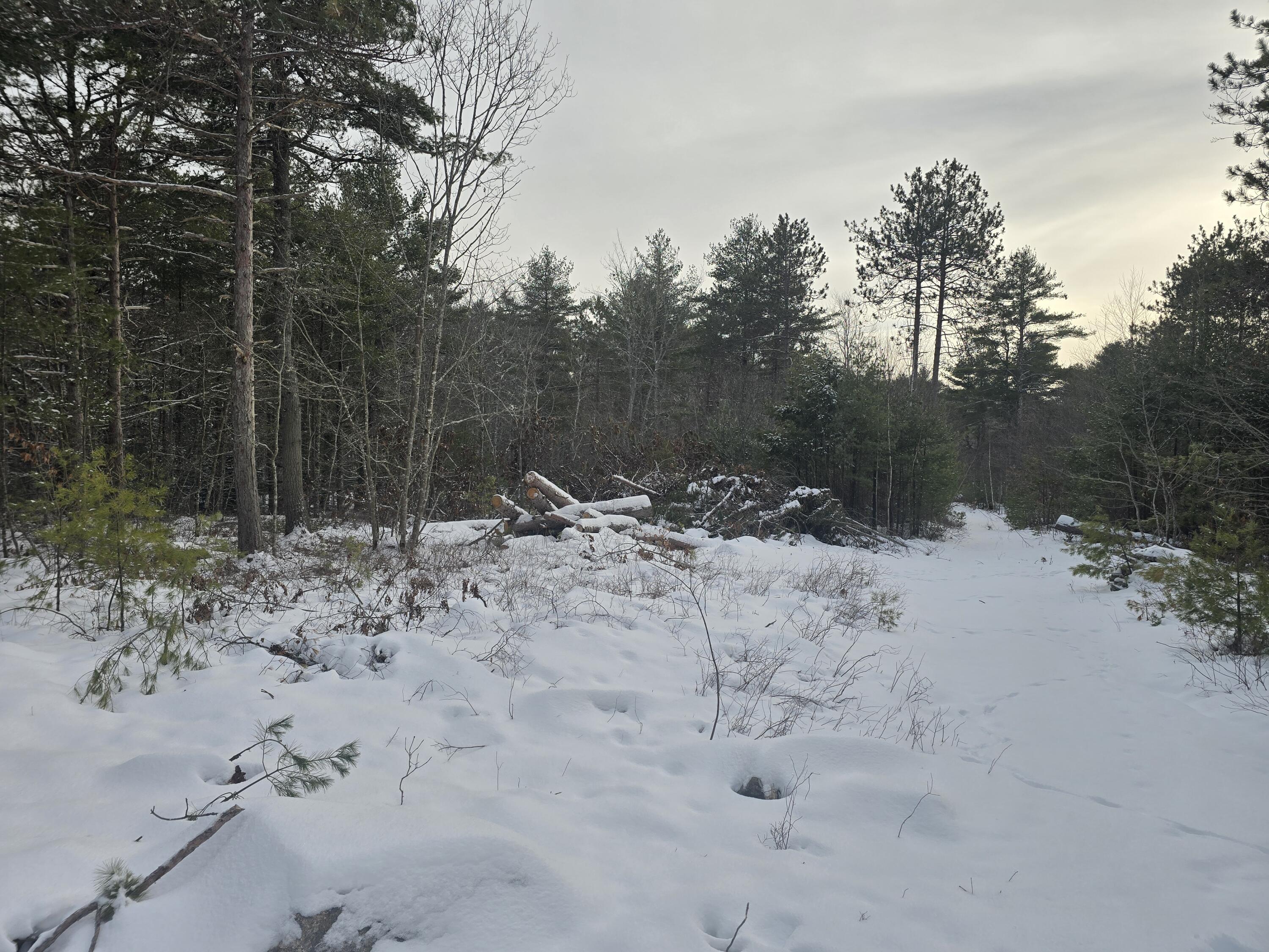 0 Victory Lane Phippsburg, ME 04562 - Photo 6 of 9 20260106_131308