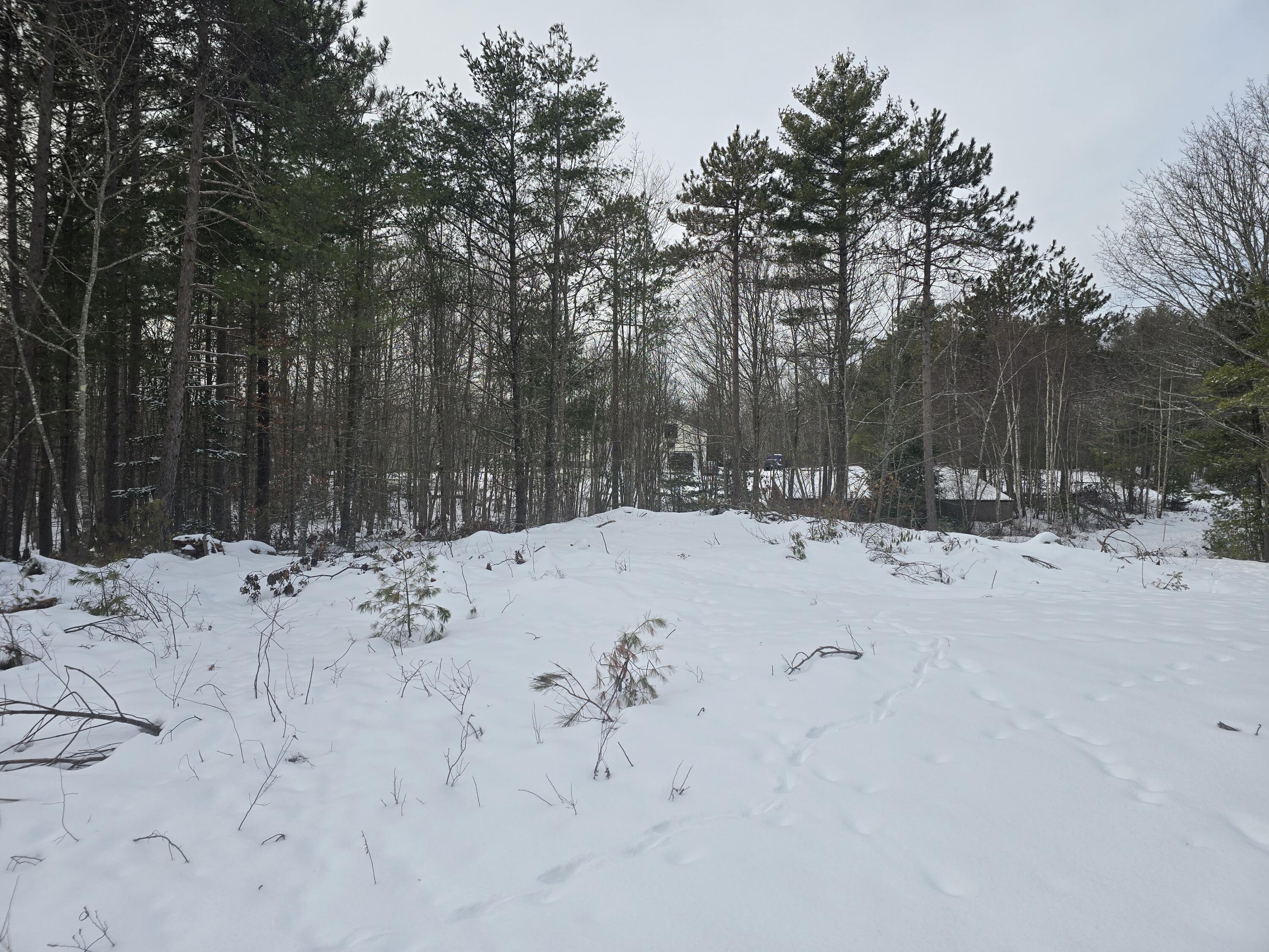 0 Victory Lane Phippsburg, ME 04562 - Photo 7 of 9 20260106_131314
