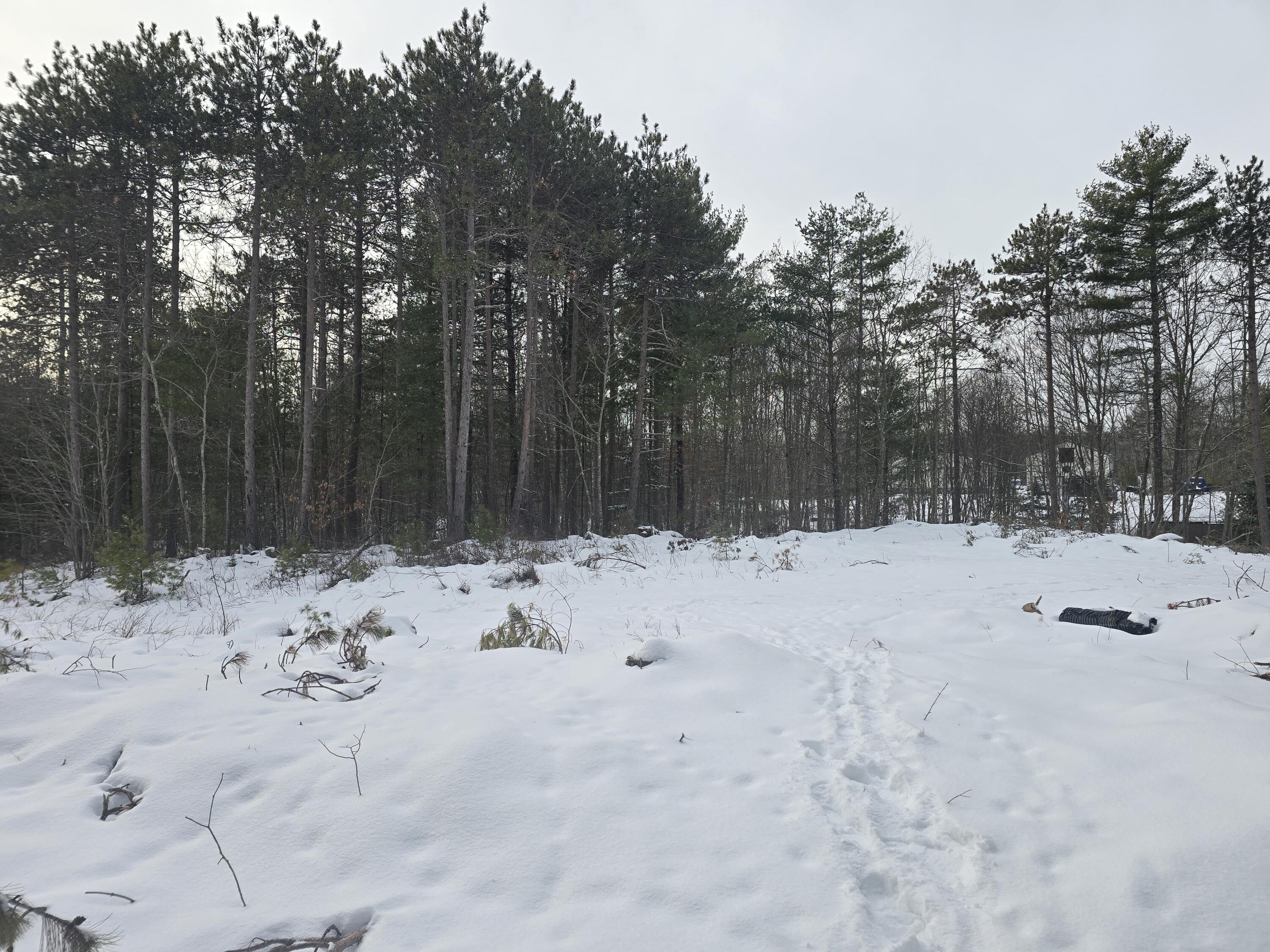 0 Victory Lane Phippsburg, ME 04562 - Photo 8 of 9 20260106_131355