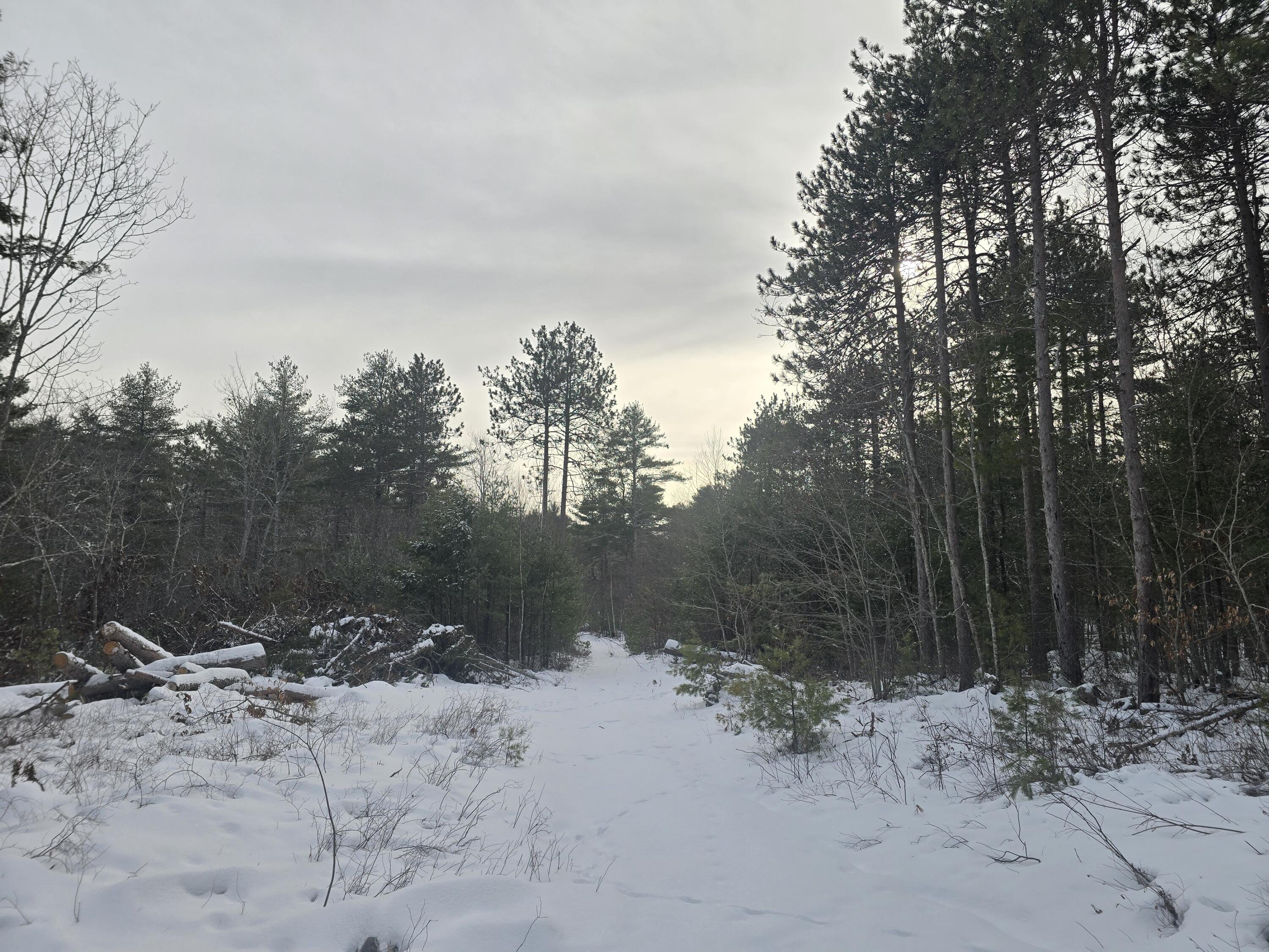 0 Victory Lane Phippsburg, ME 04562 - Photo 9 of 9 20260106_131512