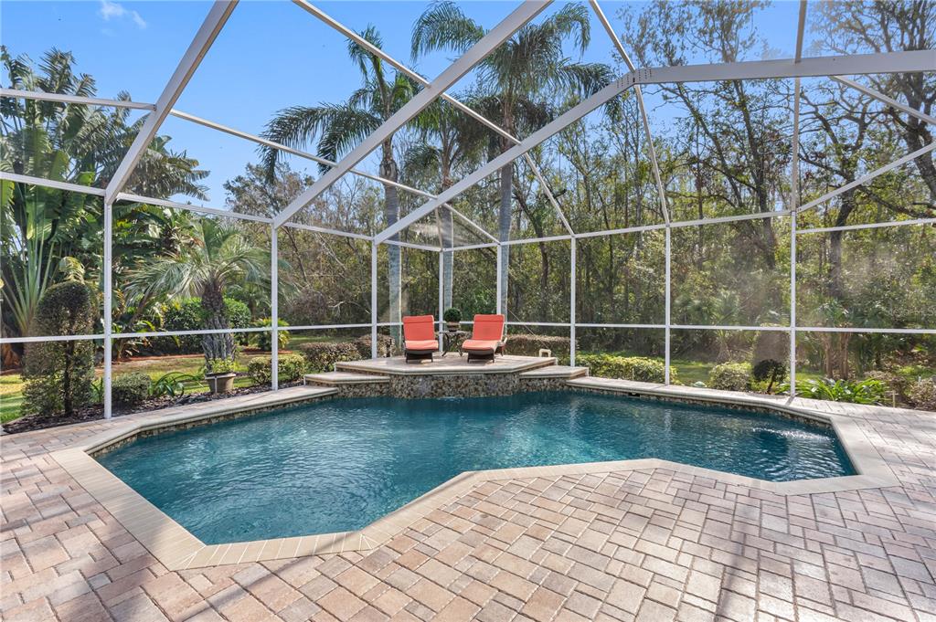 2914 Shipston Avenue New Port Richey, FL 34655 - Photo 51 of 69