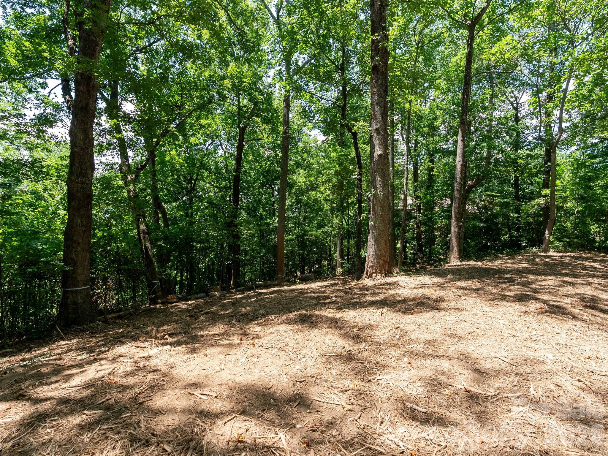 Lot 22 Plumley Summit Road, Unit 22 Landrum, SC 29356 - Photo 17 of 27