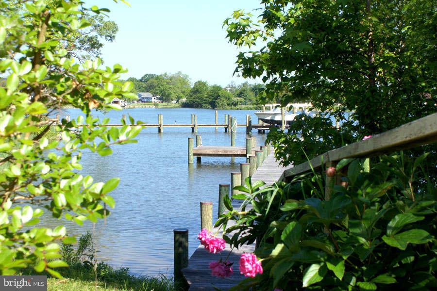 1201 Cedar Lane Edgewater, MD 21037 - Photo 10 of 30 Lush Natural Surrounds and Wetland