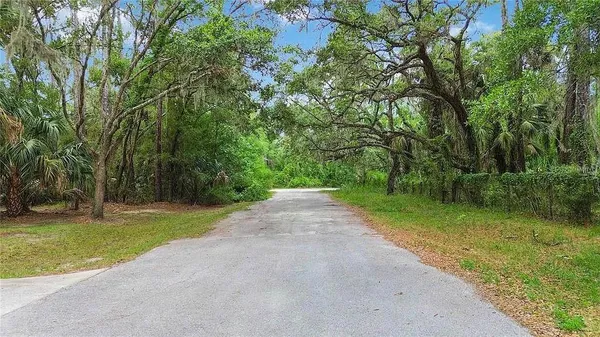a view of a yard with a trees