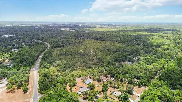 a view of a city with lush green forest