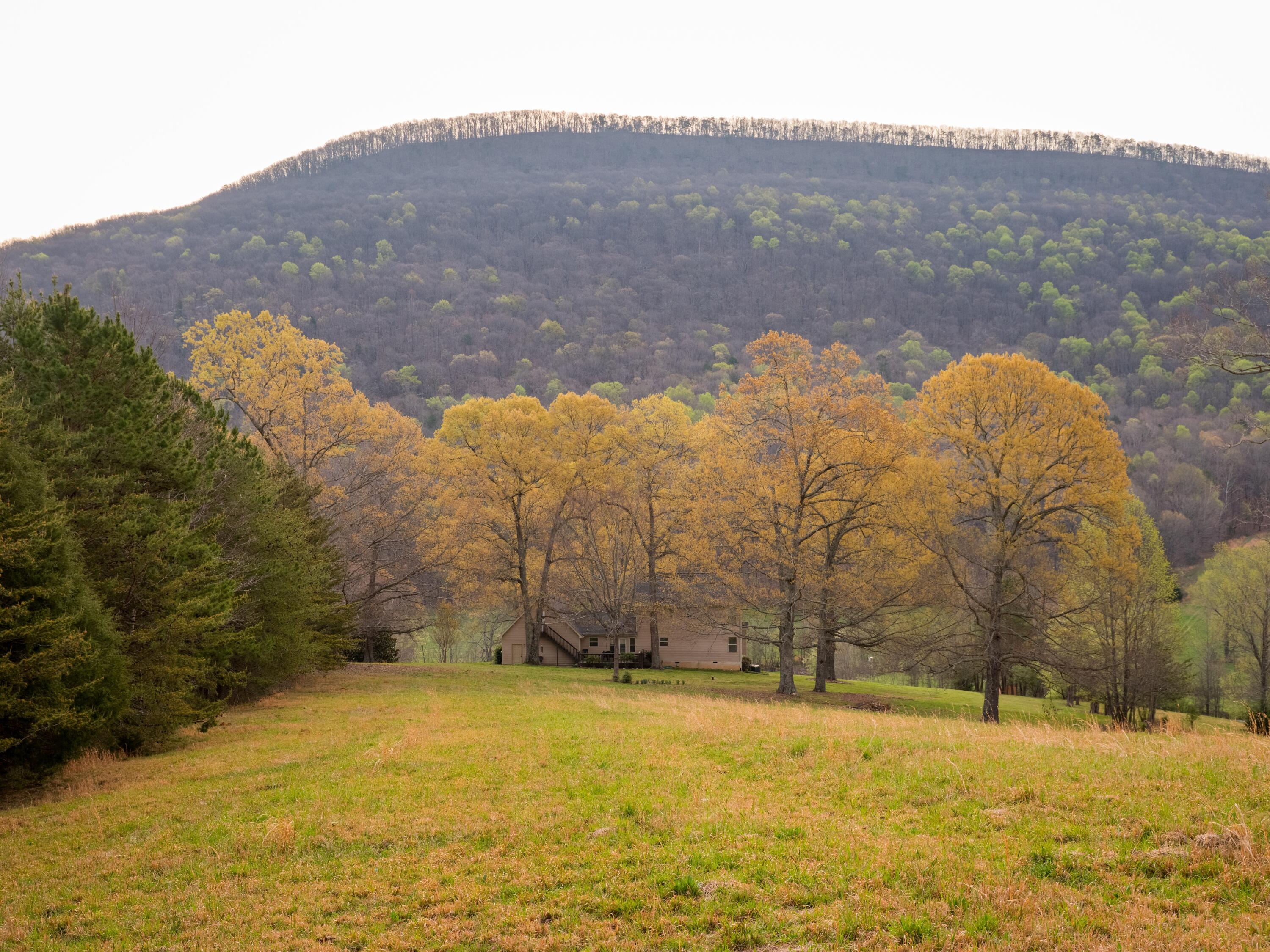 8040 Hog Jowl Road Chickamauga, GA 30707 - Photo 27 of 33 HogJowlRd-50