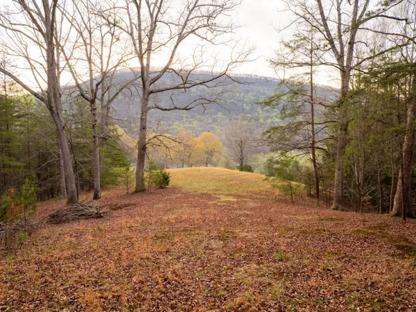 $550,000 | 8040 Hog Jowl Road, Chickamauga, GA 30707