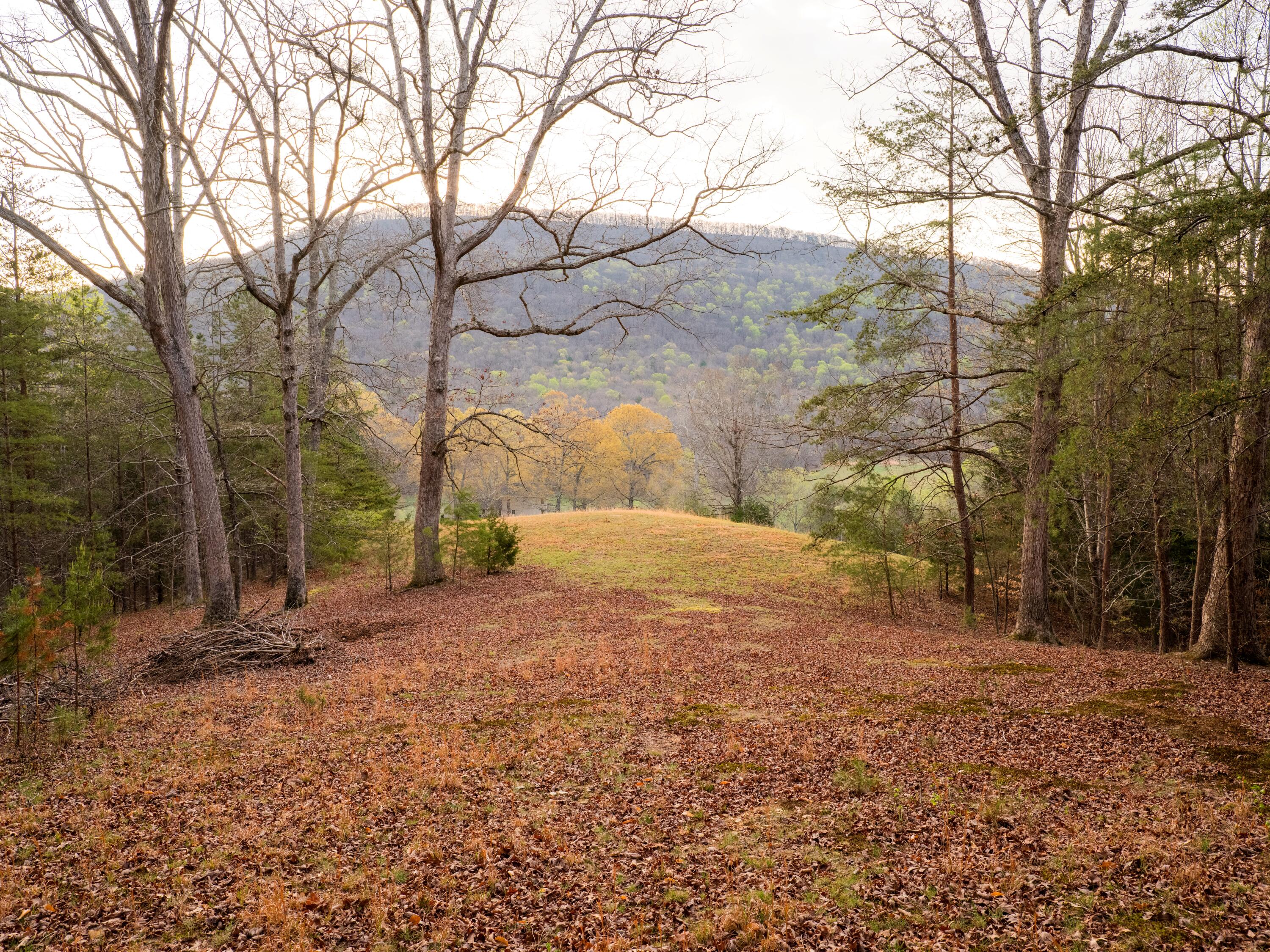8040 Hog Jowl Road Chickamauga, GA 30707 - Photo 28 of 33 HogJowlRd-51