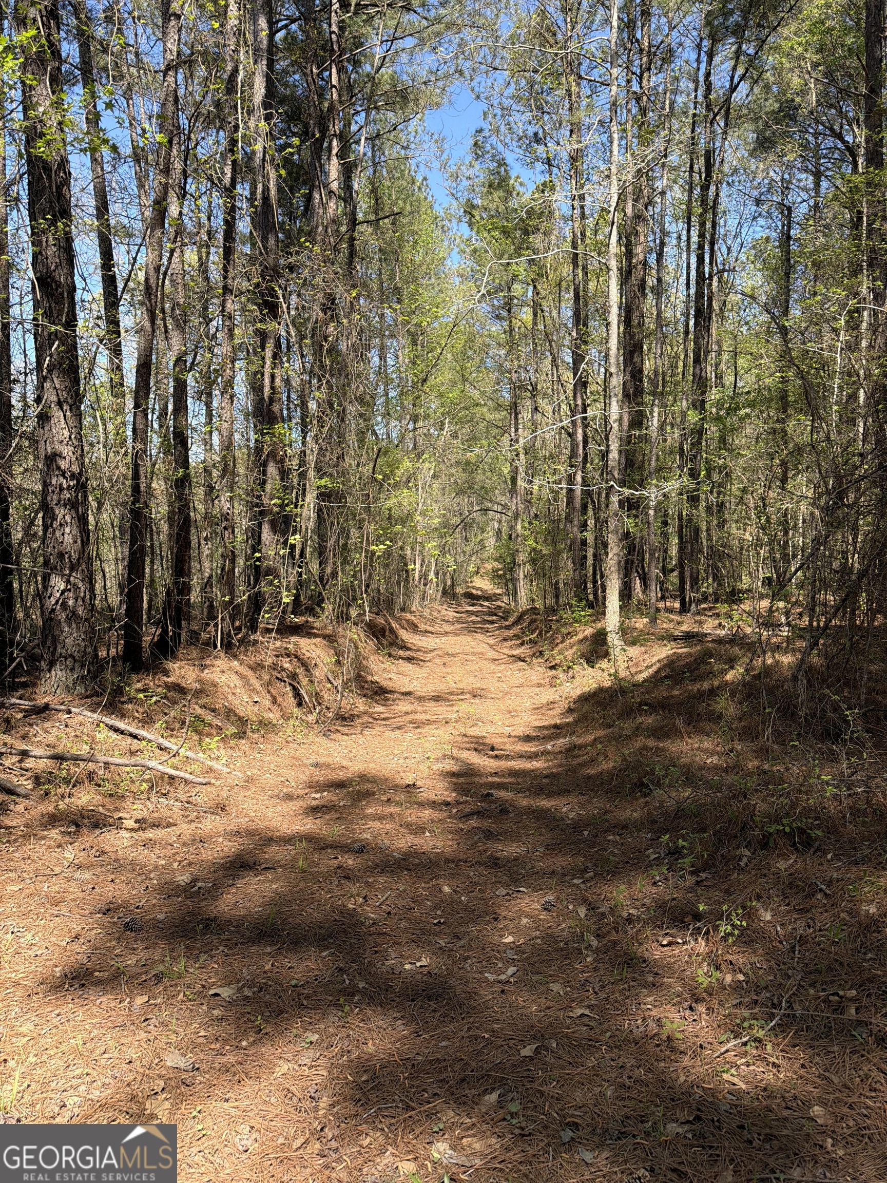 0 Old Union Point Road Greensboro, GA 30642 - Photo 4 of 5