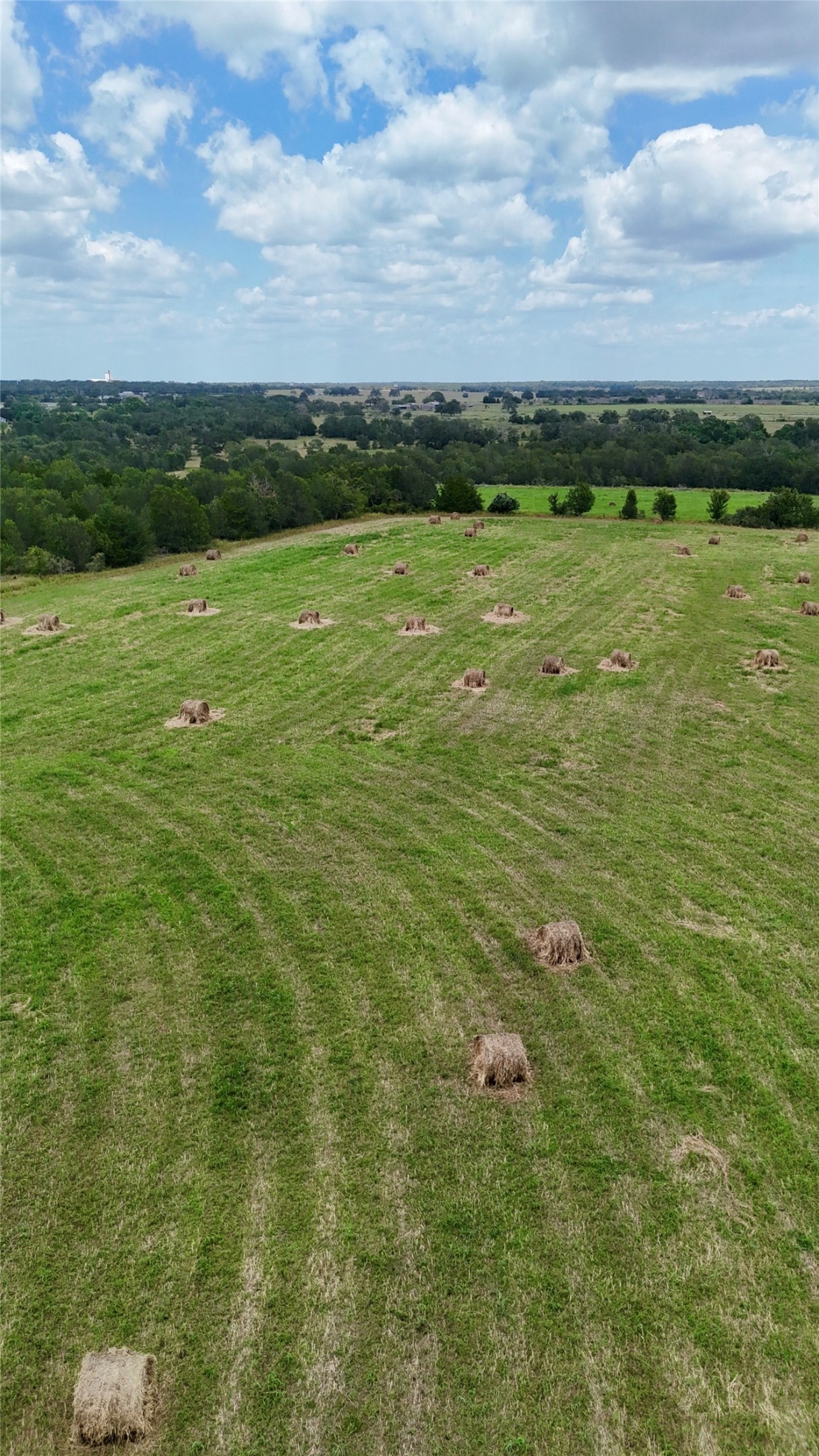 205 St Delight Road Paige, TX 78659 - Photo 6 of 7