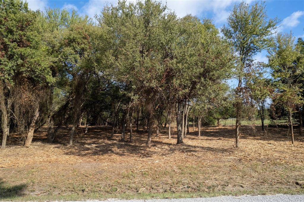 Lot 4 Mcfarlin Road Collinsville, TX 76233 - Photo 2 of 2 a backyard of a house with lots of green space