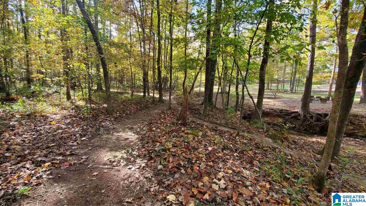 144 Silverleaf Drive Pelham, AL 35124 - Photo 46 of 50