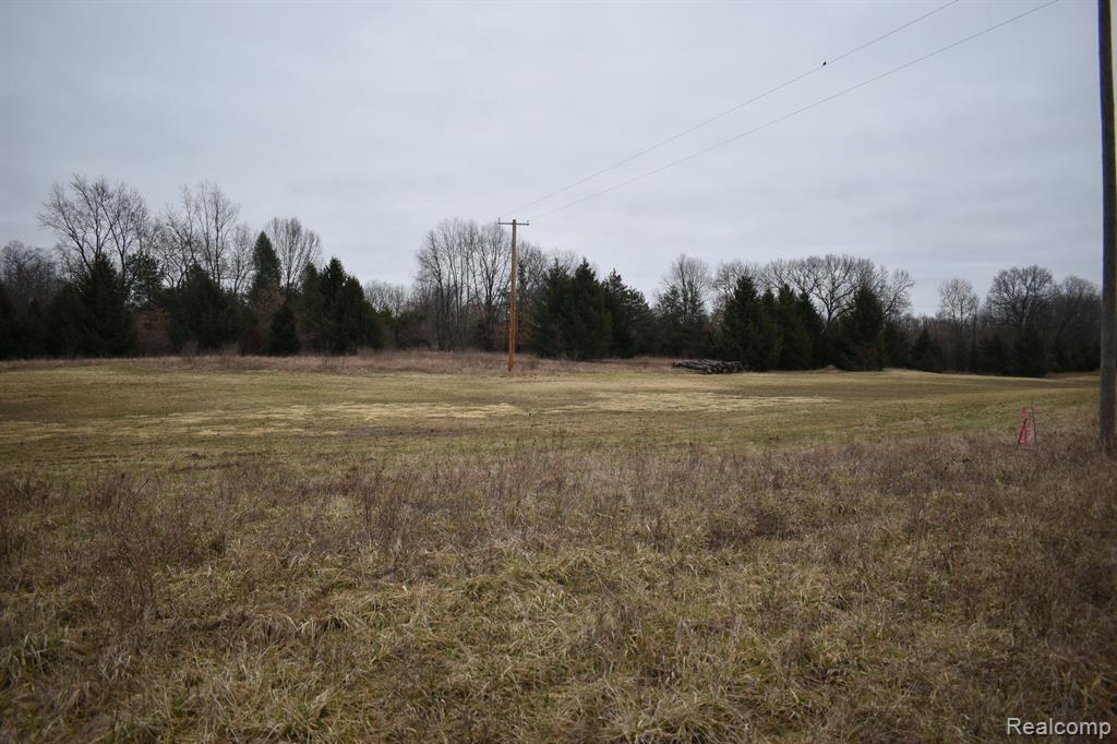 0 Roberts Road Stockbridge, MI 49285 - Photo 1 of 4