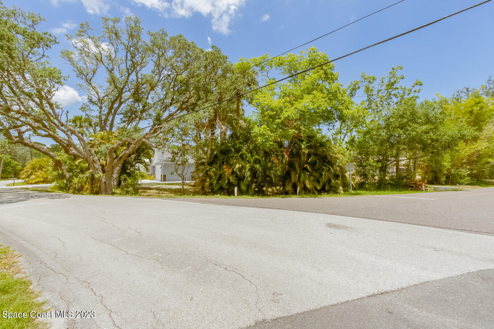 618 Hammock Road Melbourne, FL 32904 - Photo 39 of 59 a view of a yard