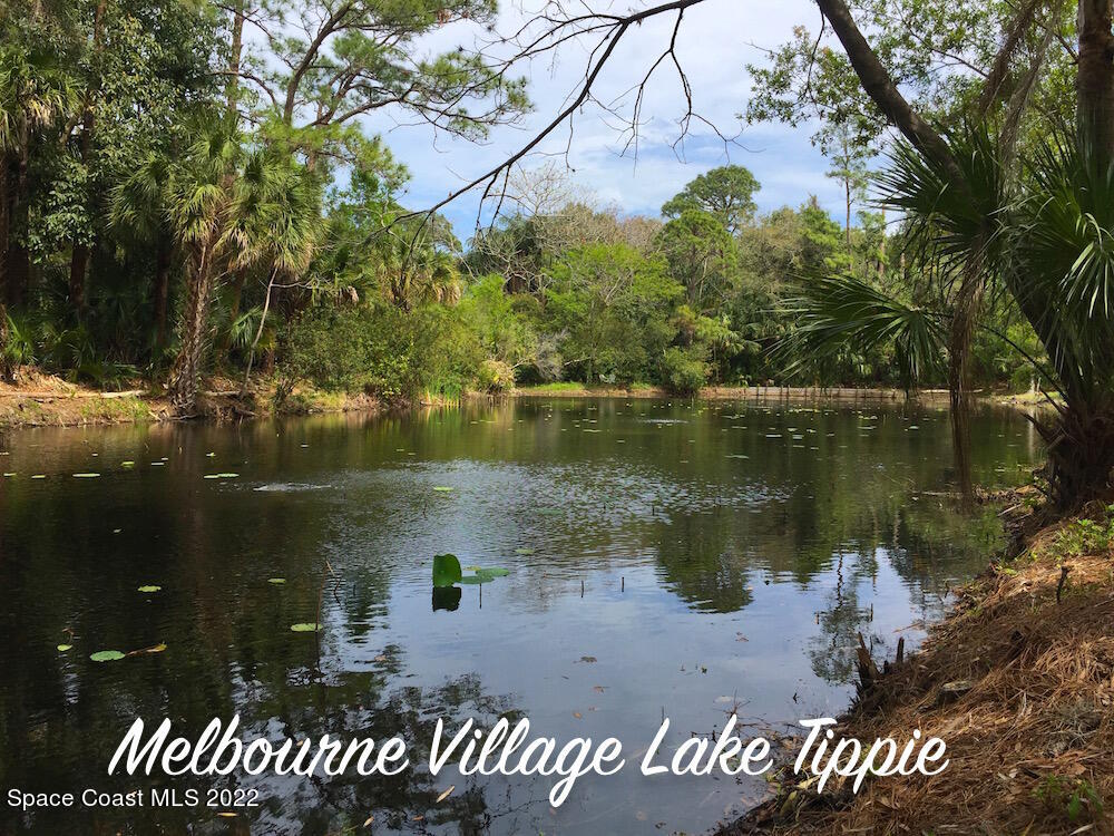 618 Hammock Road Melbourne, FL 32904 - Photo 54 of 59 a view of a lake from a bench