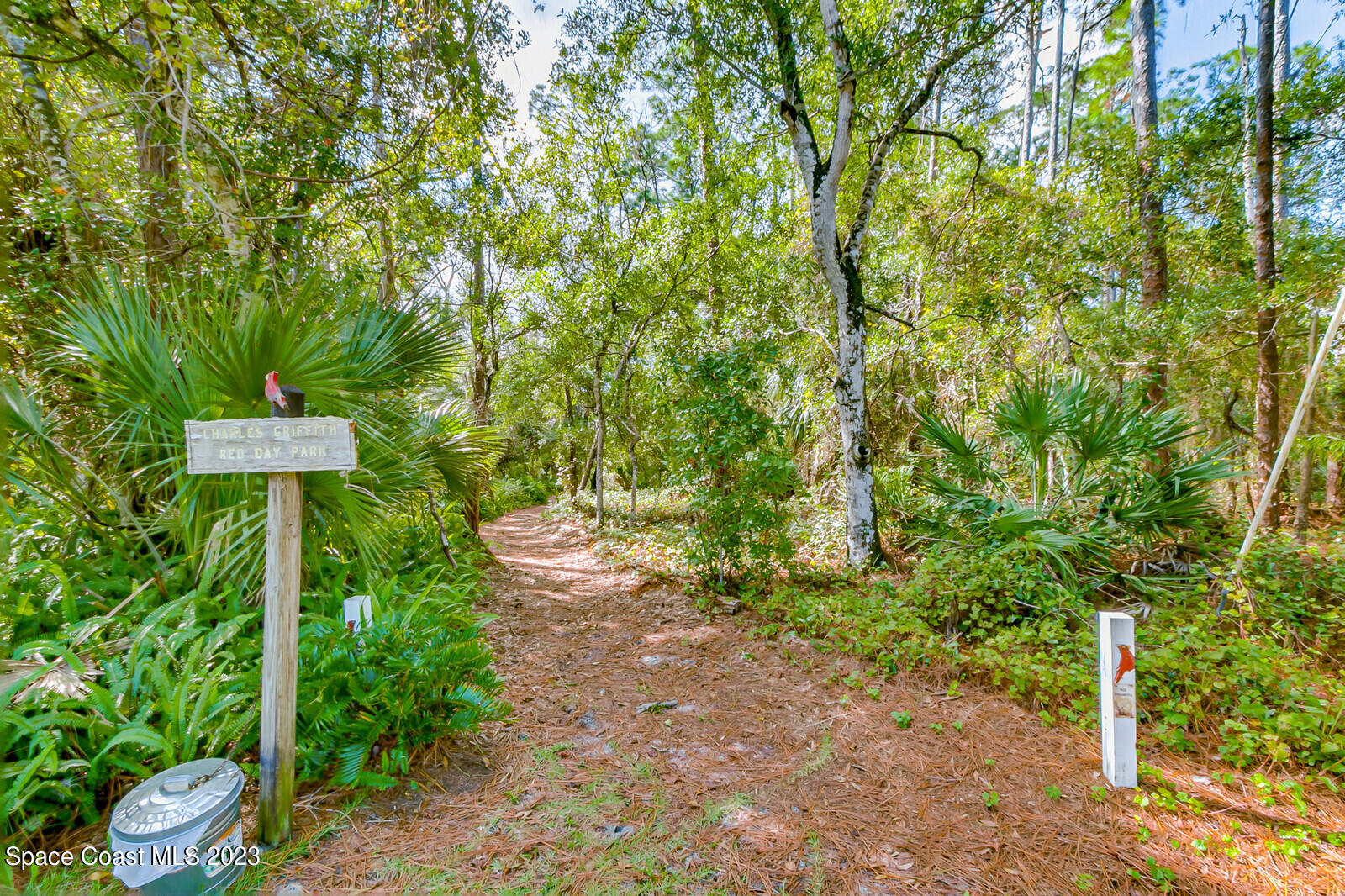 618 Hammock Road Melbourne, FL 32904 - Photo 58 of 59 a view of a garden with plants
