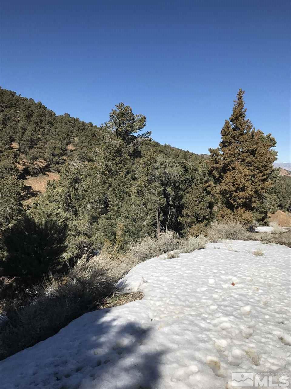 1140 Hamilton Road, Unit 114 Reno, NV 89521 - Photo 3 of 9 a view of a road with a snow in the background