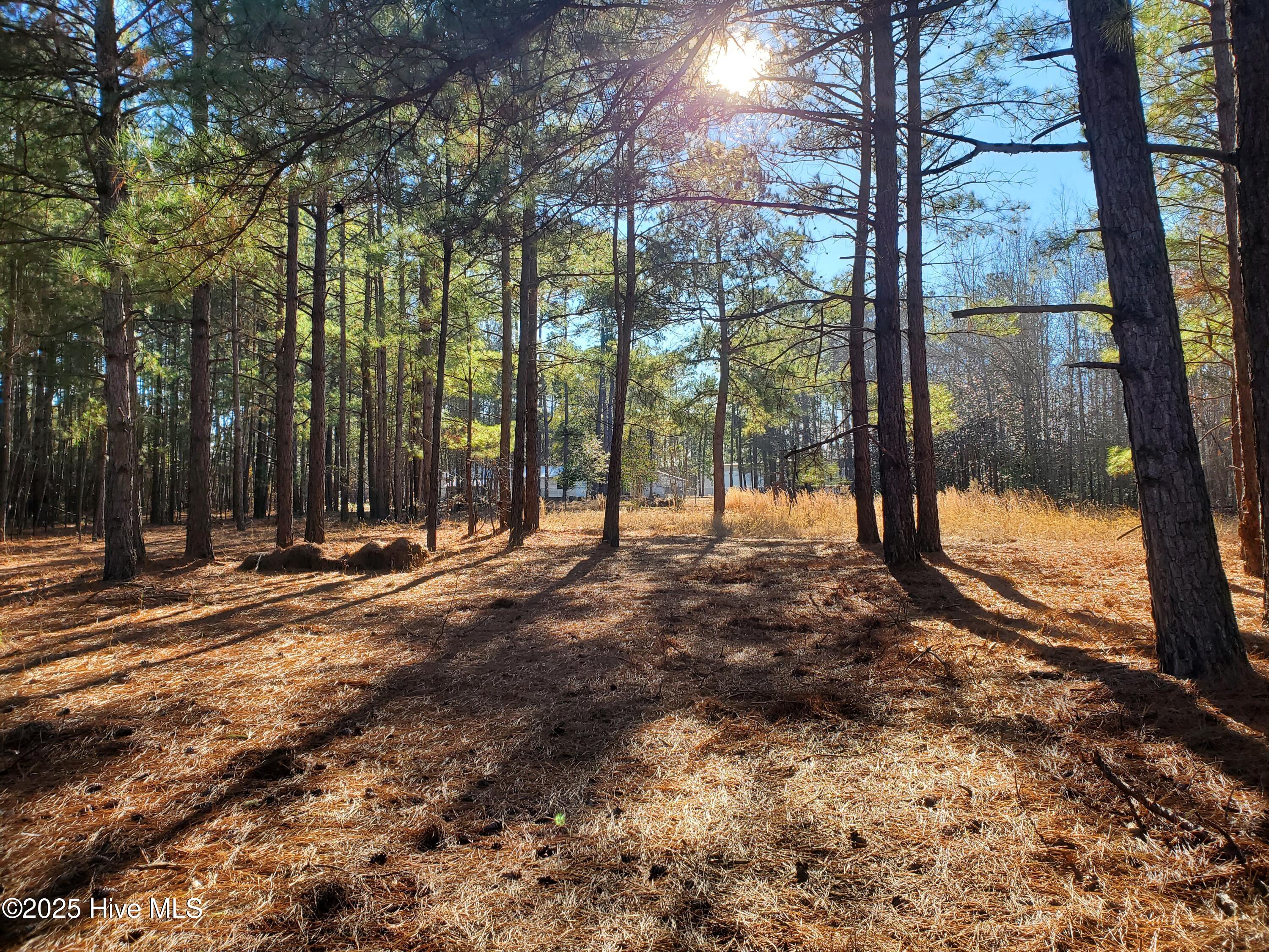 Tbd Crestline Road Laurinburg, NC 28352 - Photo 1 of 11 Shade