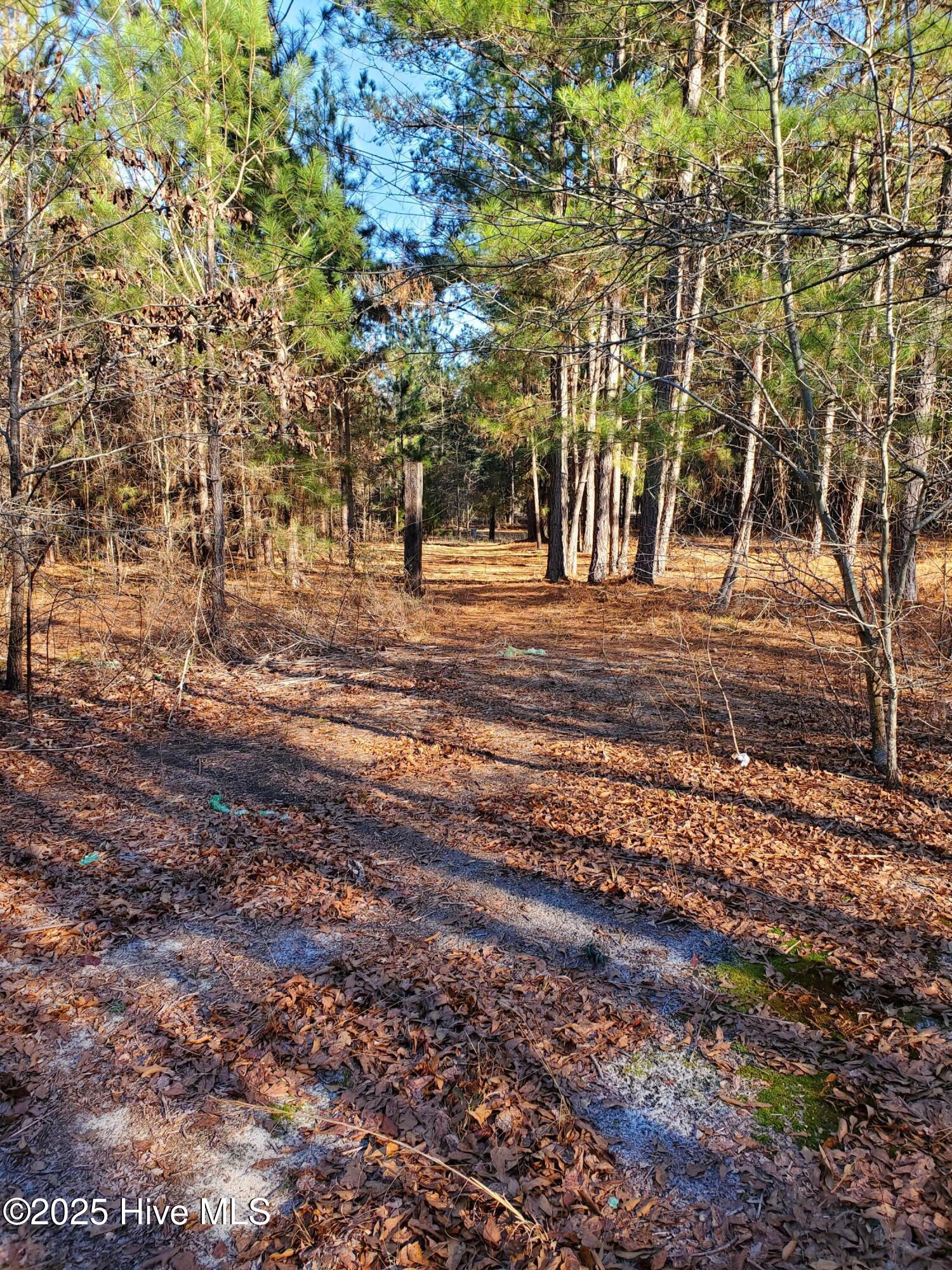 Tbd Crestline Road Laurinburg, NC 28352 - Photo 4 of 11 4